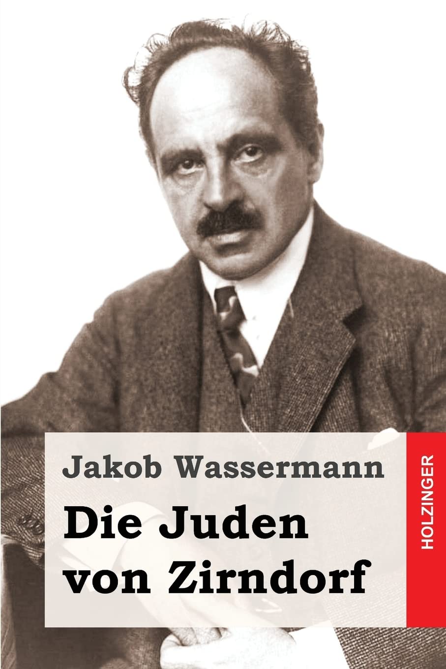 Die Juden von Zirndorf book