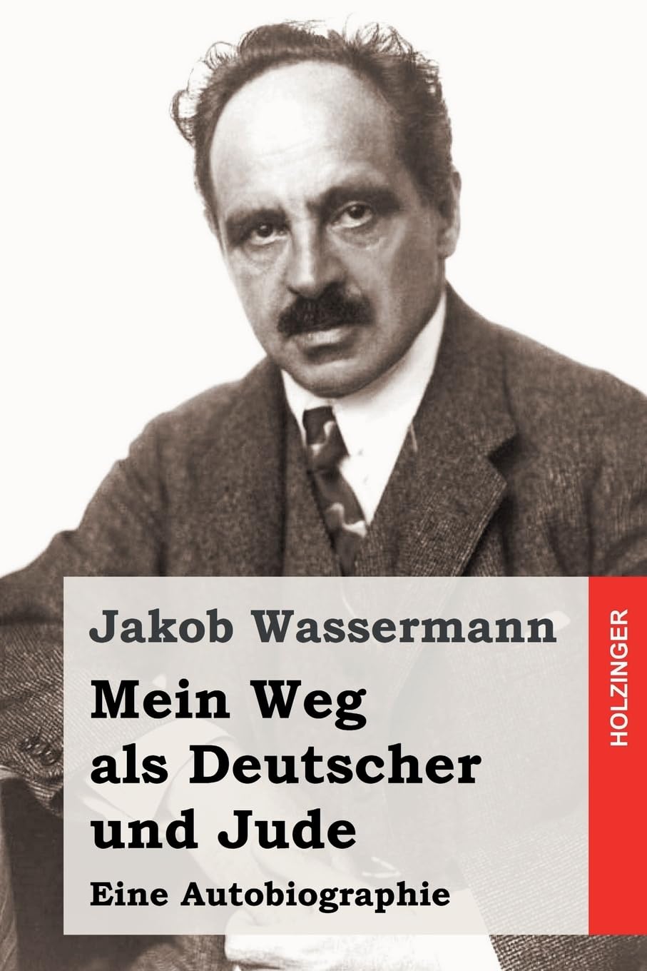 Mein Weg als Deutscher und Jude book