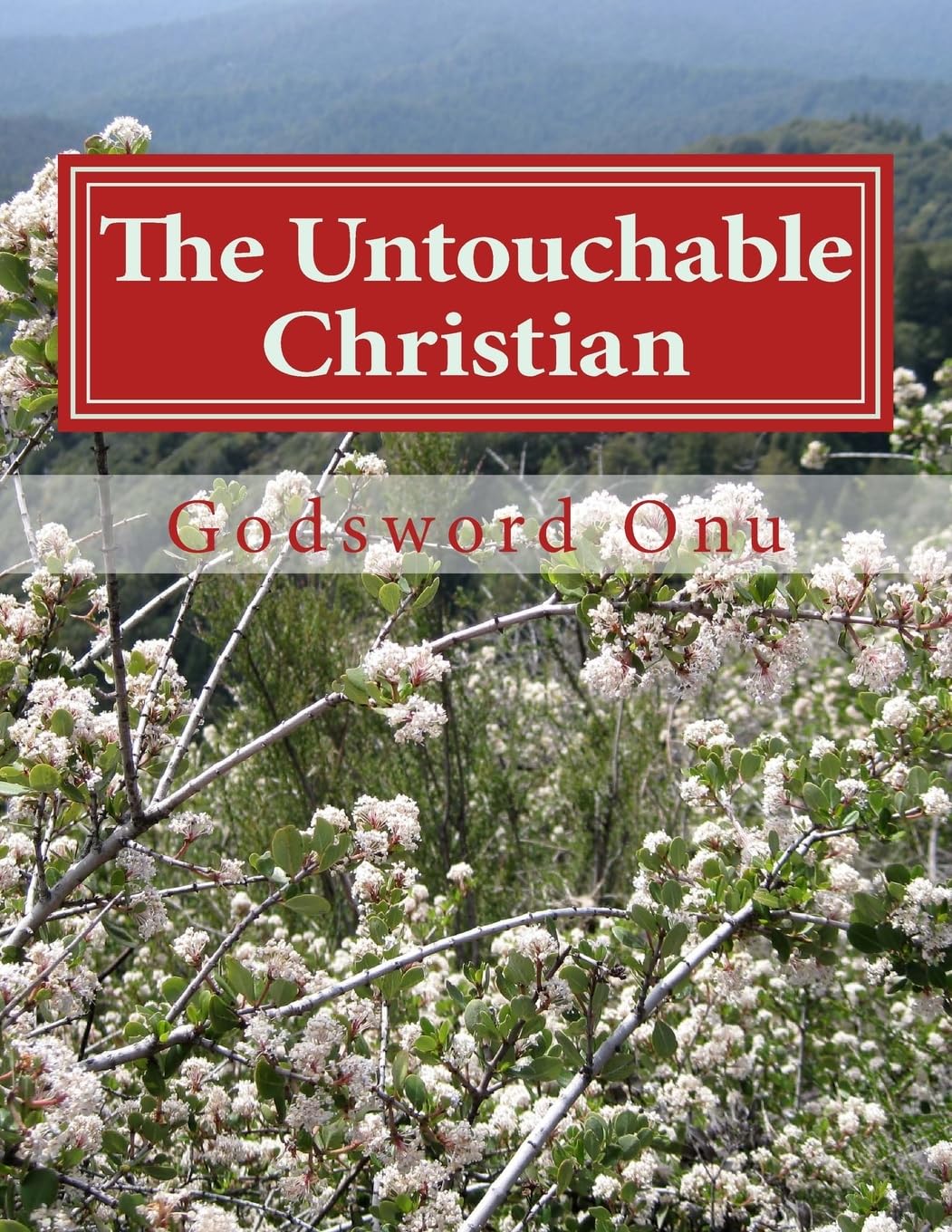 The Untouchable Christian: Being Free from the Plans and Attacks of the Enemy Religion & Esotericism