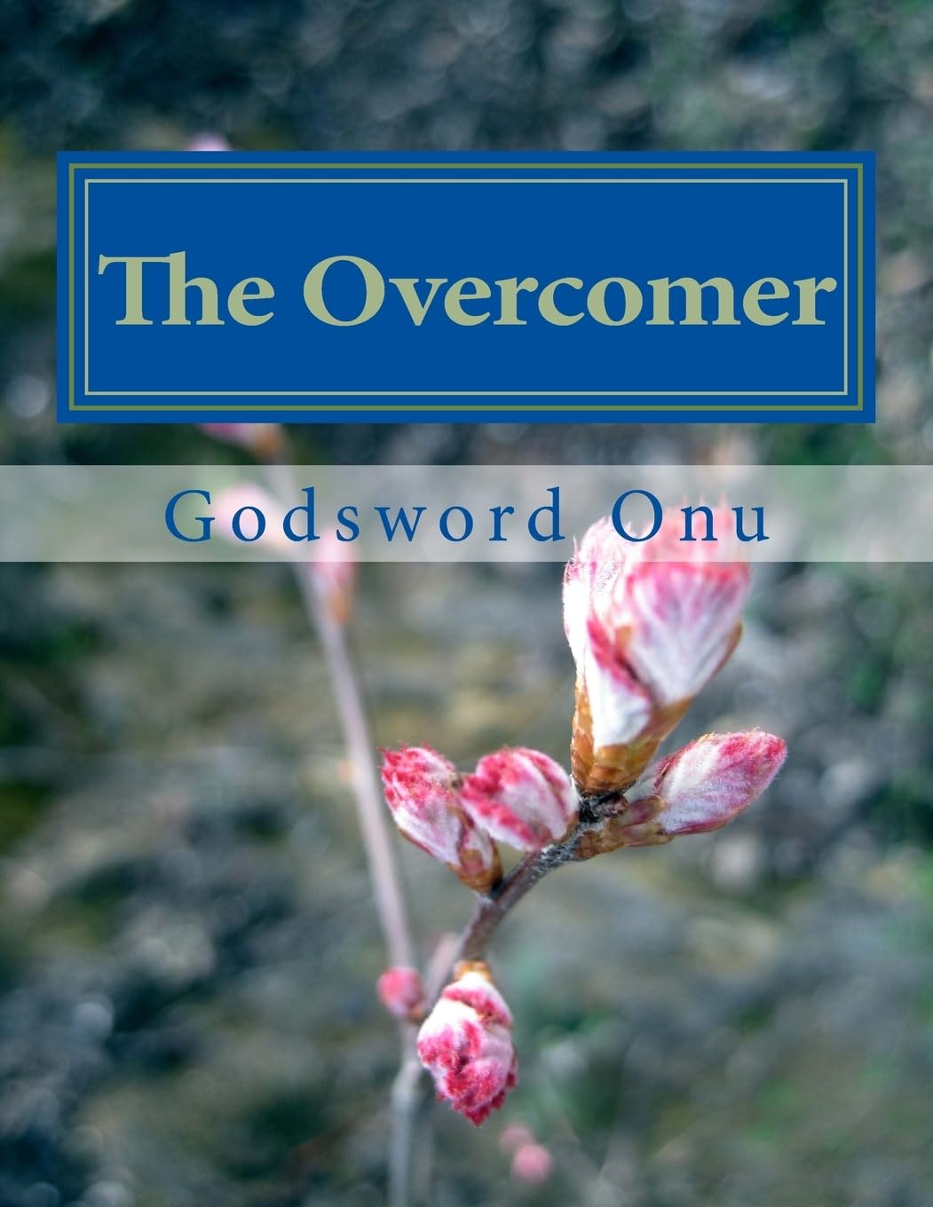 The Overcomer: He Who Overcomes Shall Inherit All Things Religion & Esotericism
