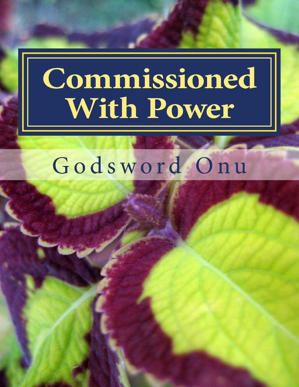 Commissioned With Power: We Have Been Empowered and Not Helpless Religion & Esotericism