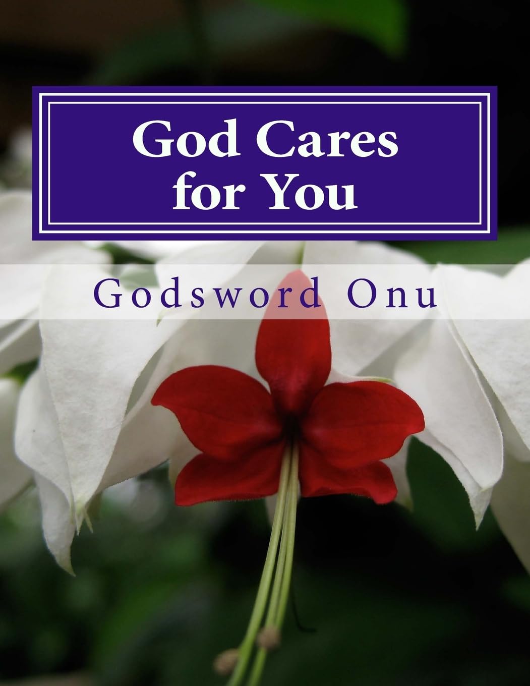 God Cares for You: Relax, God Is Aware of Whatever You Are Going Through Religion & Esotericism