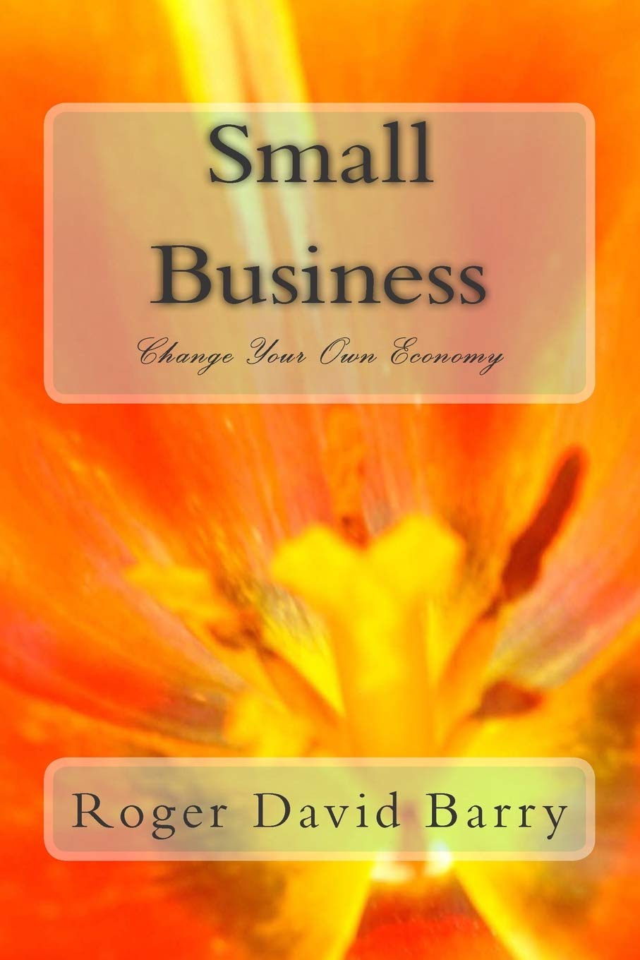 Small Business Change Your Own Economy: Change Your Own Economy (Small Business Change Your Economy, Band 1) Business, Finance & Career