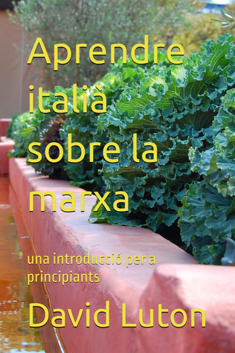 Aprendre italià sobre la marxa: una introducció per a principiants Foreign Languages ​​& Dictionaries