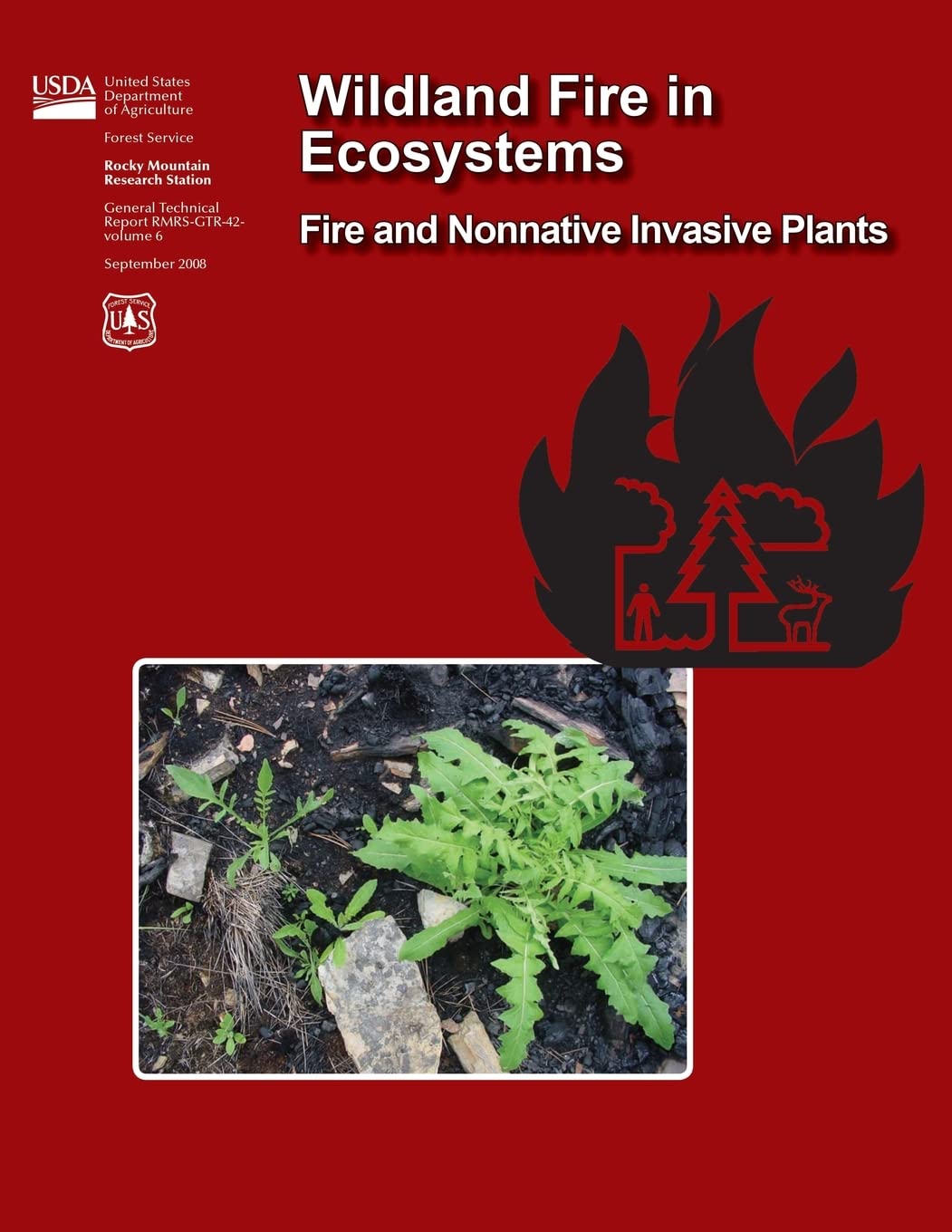Wildland Fire in Ecosystems Fire and Nonnative Invasive Plants Mathematics