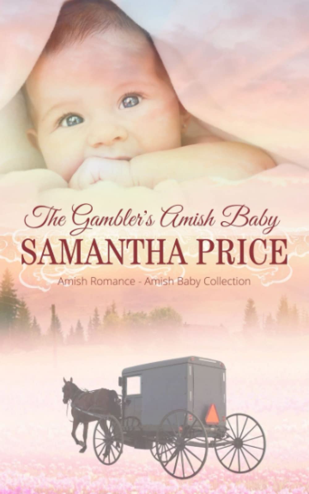 The Gambler's Amish Baby (Amish Baby Collection, Band 1) Contemporary literature