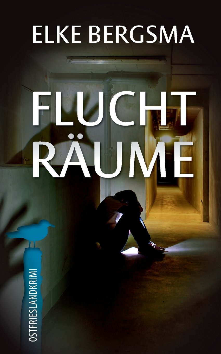 Fluchträume (Büttner und Hasenkrug ermitteln, Band 9) Detective & CSI