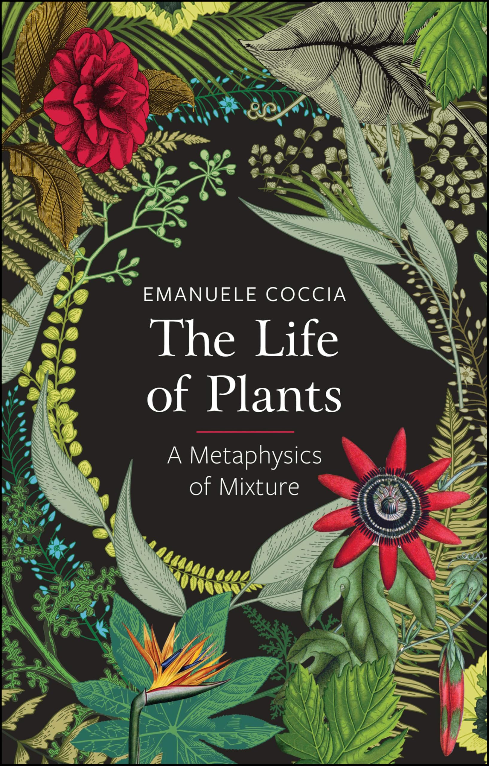 The Life of Plants: A Metaphysics of Mixture Philosophy