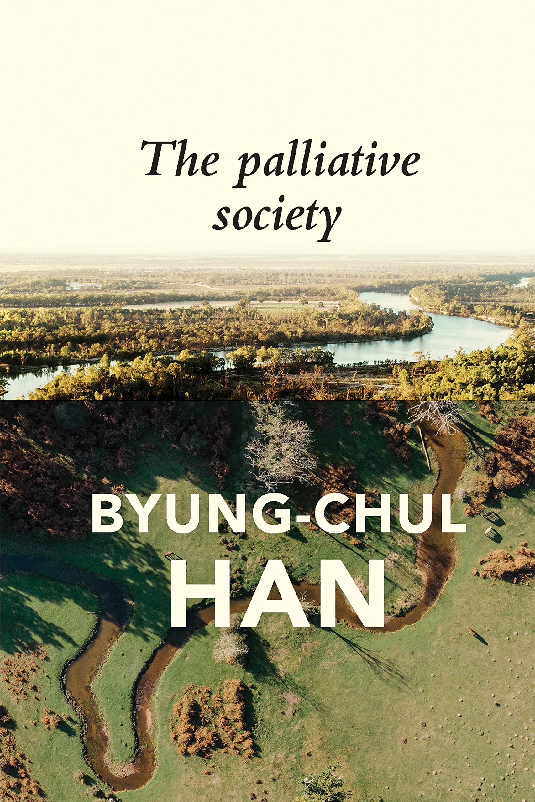 The Palliative Society: Pain Today Philosophy