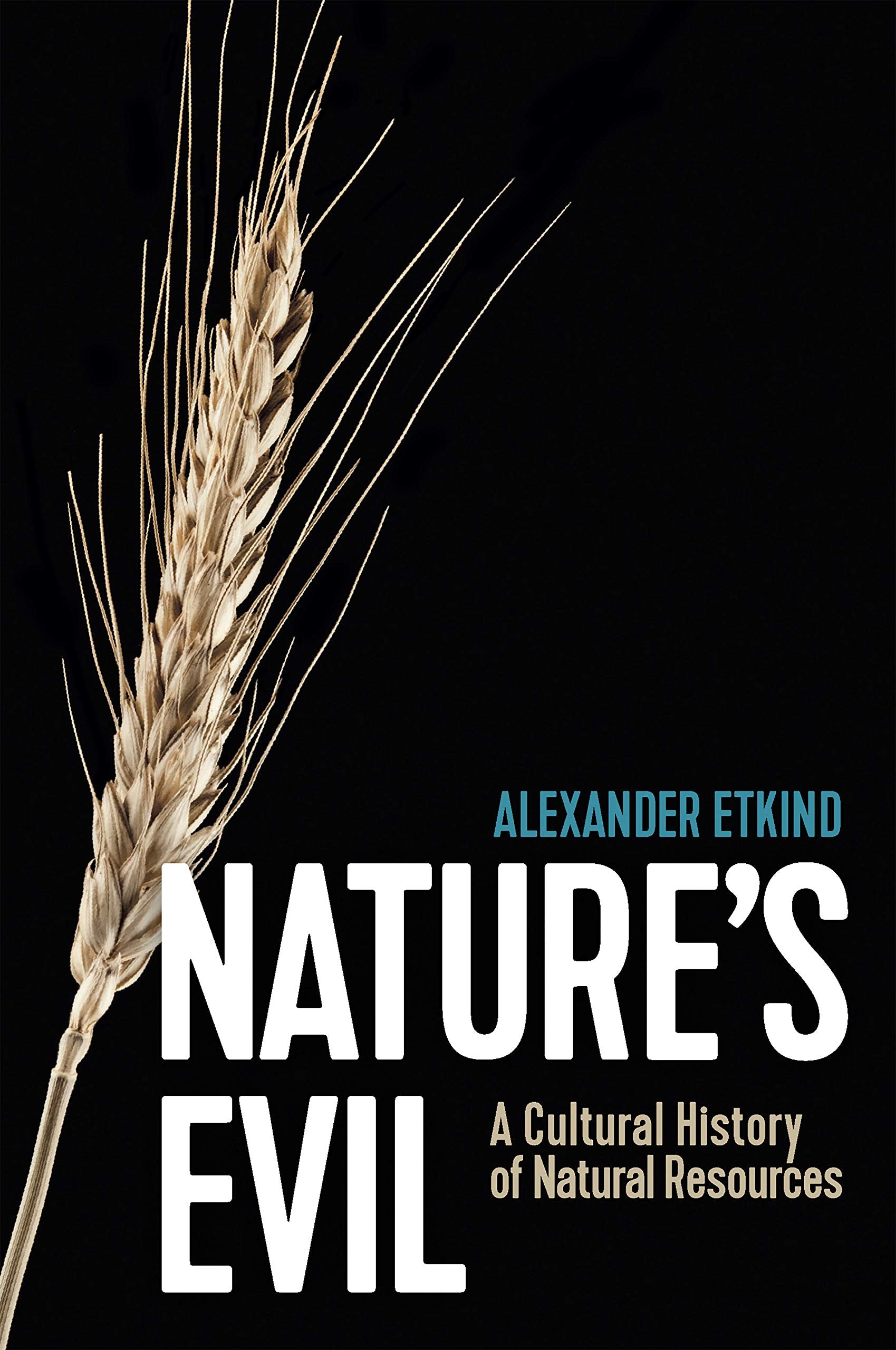Nature's Evil: A Cultural History of Natural Resources (New Russian Thought) Philosophy