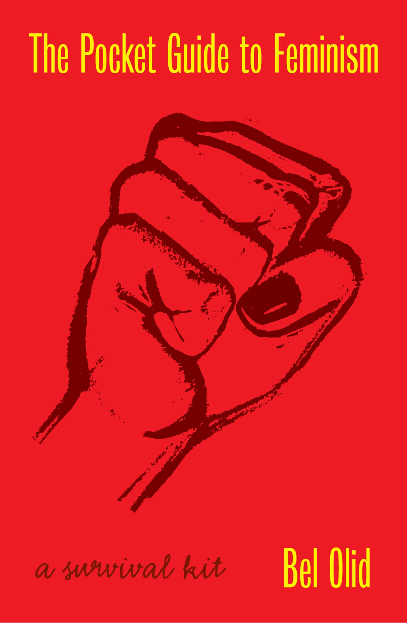 The Pocket Guide to Feminism: A Survival Kit Law