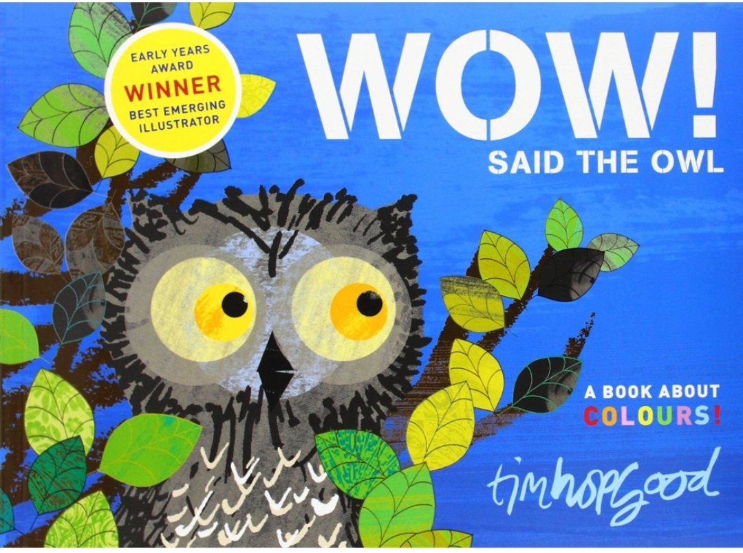 Wow Said The Owl - A Book About Colours! Tim Hopgood Books