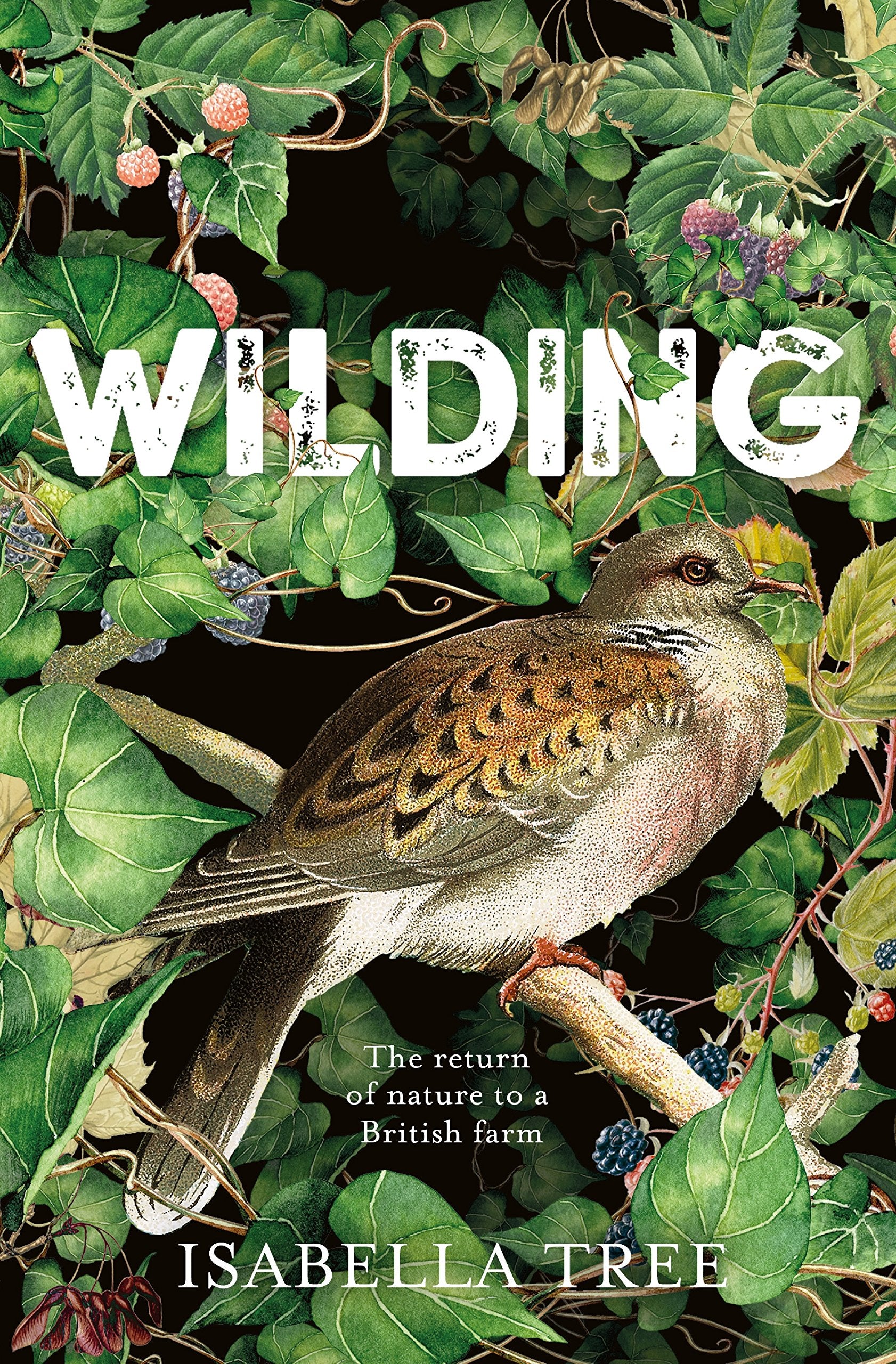 Wilding: The Return of Nature to a British Farm Sports