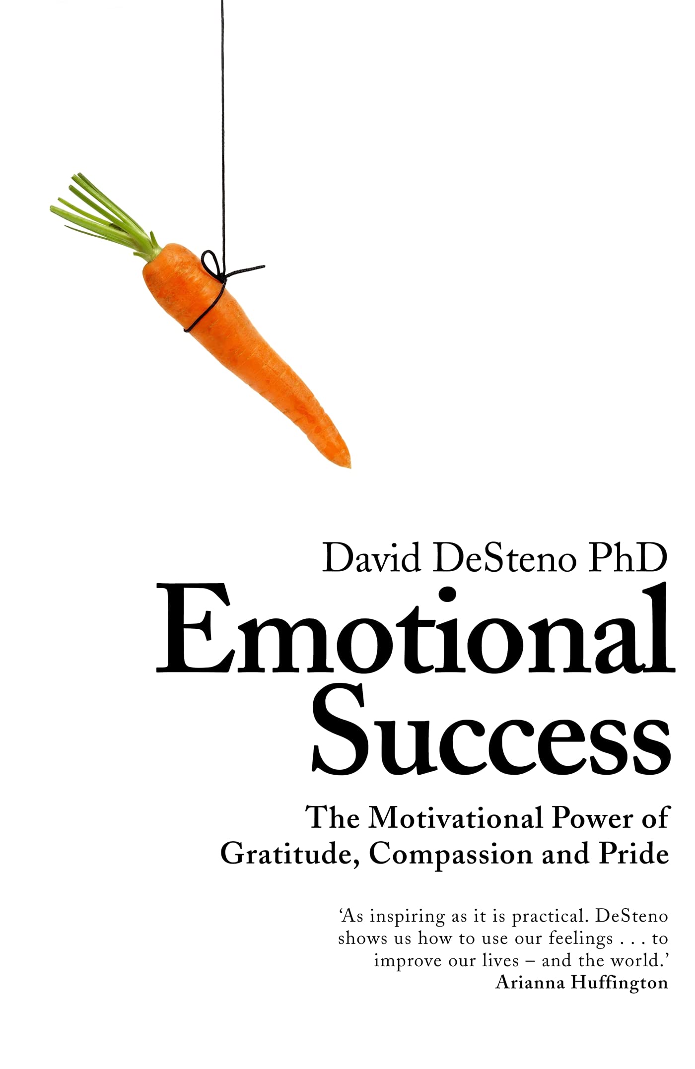 Emotional Success: The Motivational Power of Gratitude, Compassion and Pride Business, Finance & Career