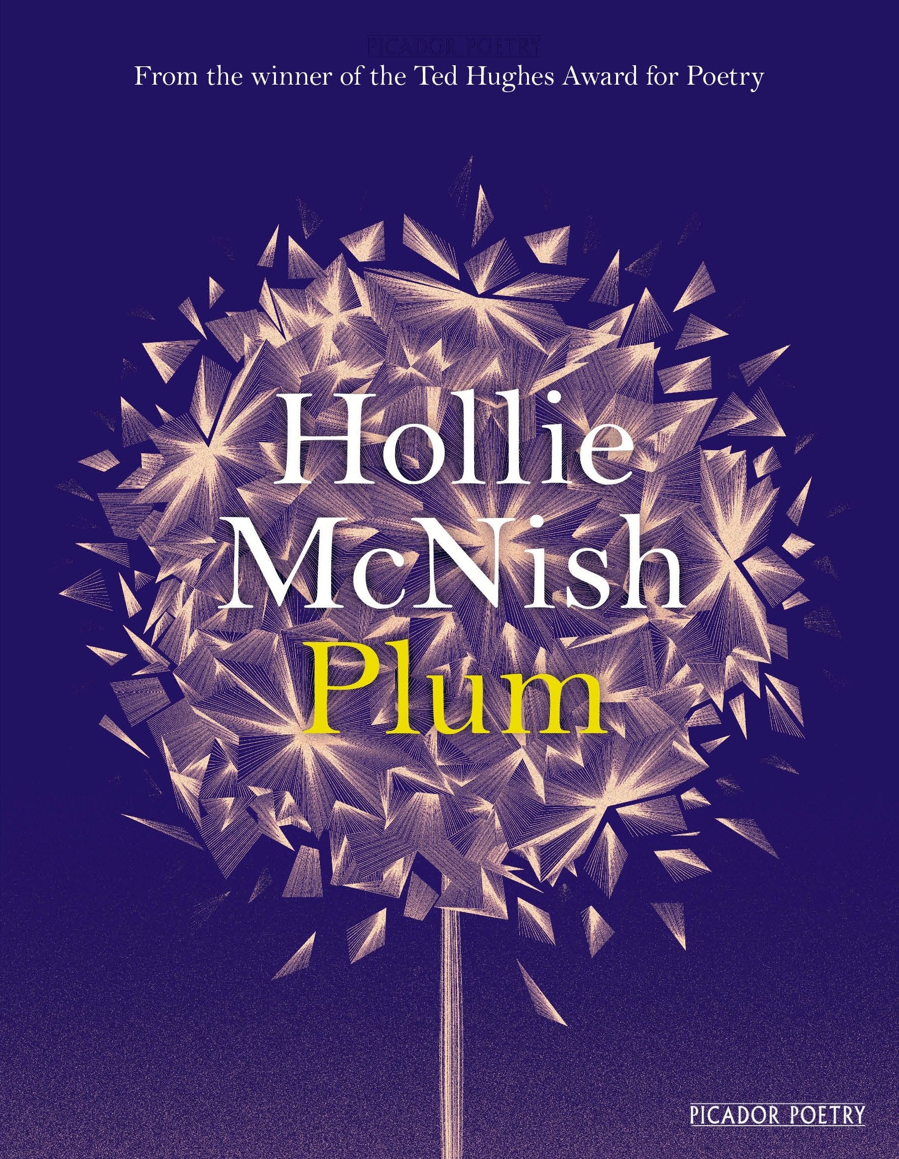 Plum: Hollie McNish Poetry