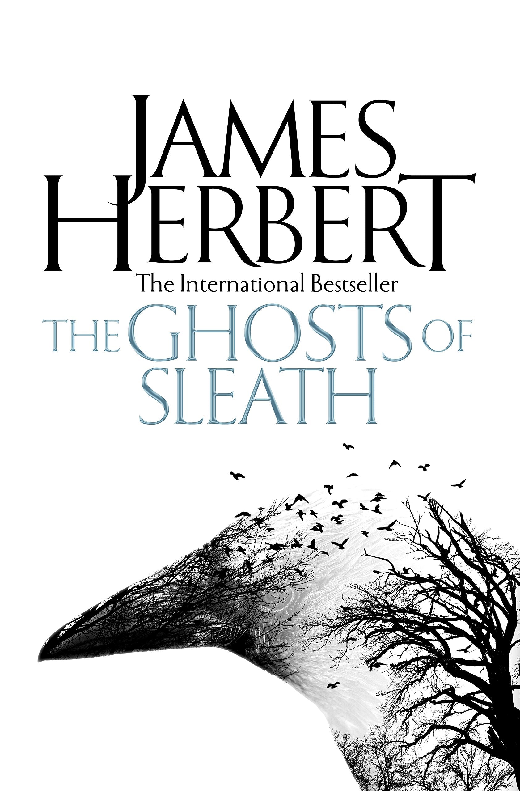 The Ghosts of Sleath Horror & Mystery