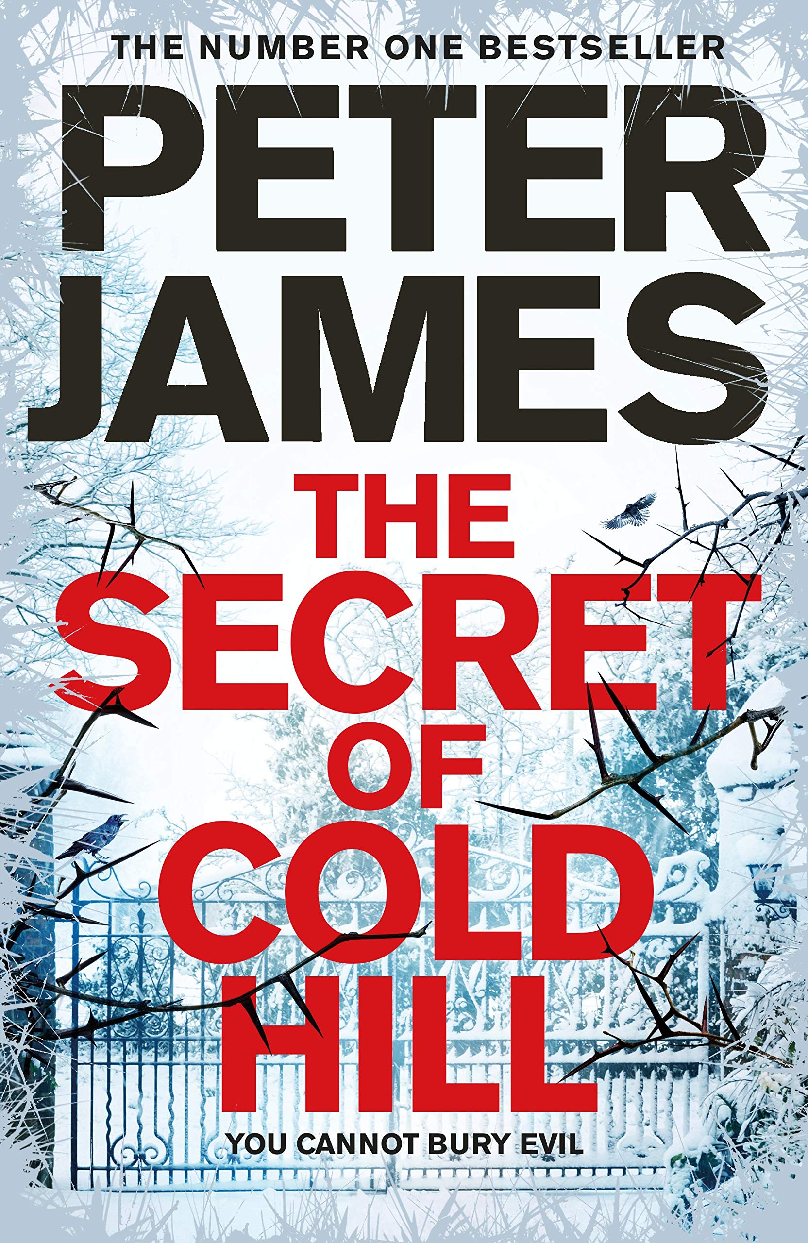 James, P: The Secret of Cold Hill Contemporary literature