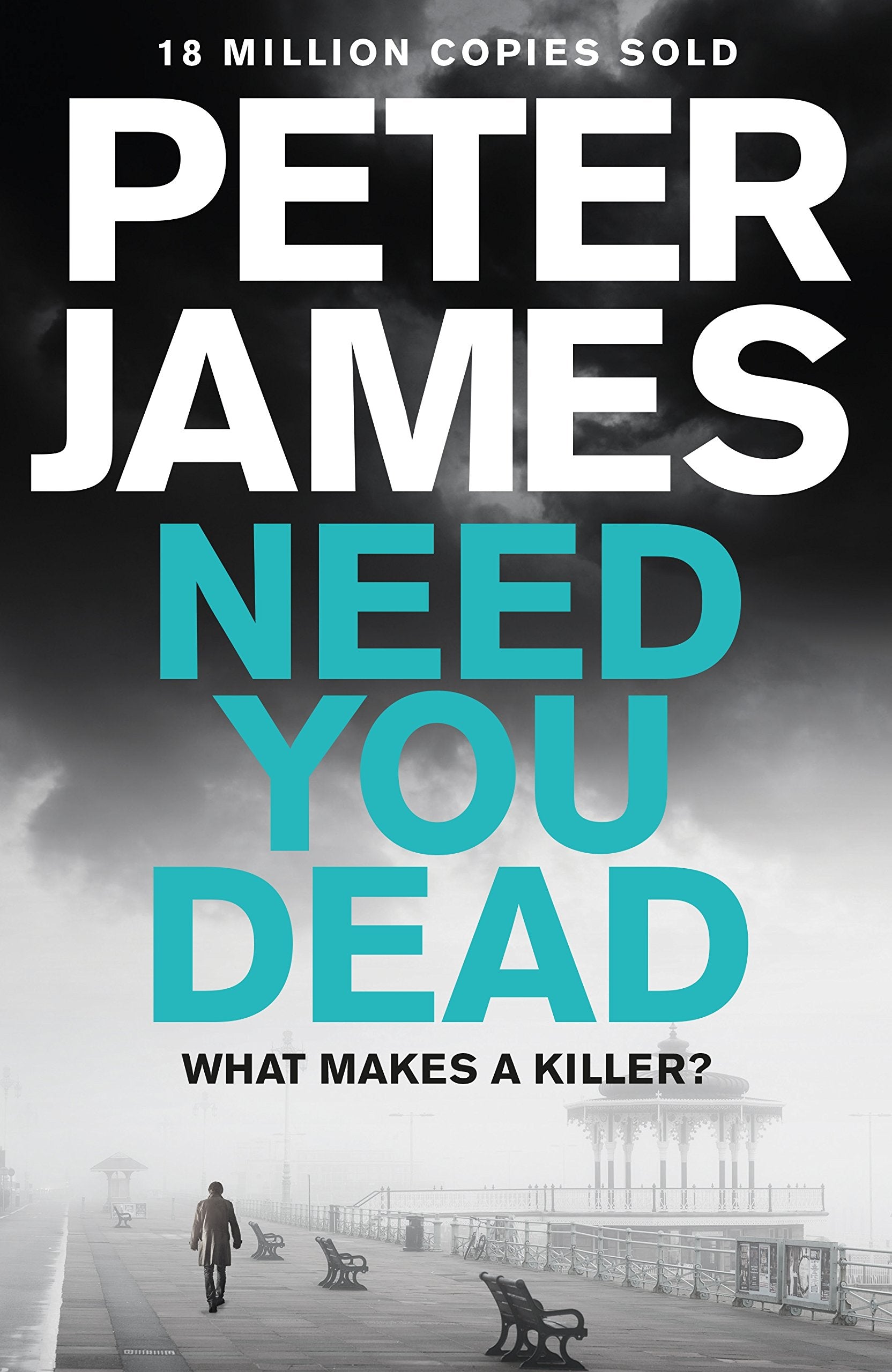 Need You Dead (Detective Superintendent Roy Grace, Band 13) Action & Adventure