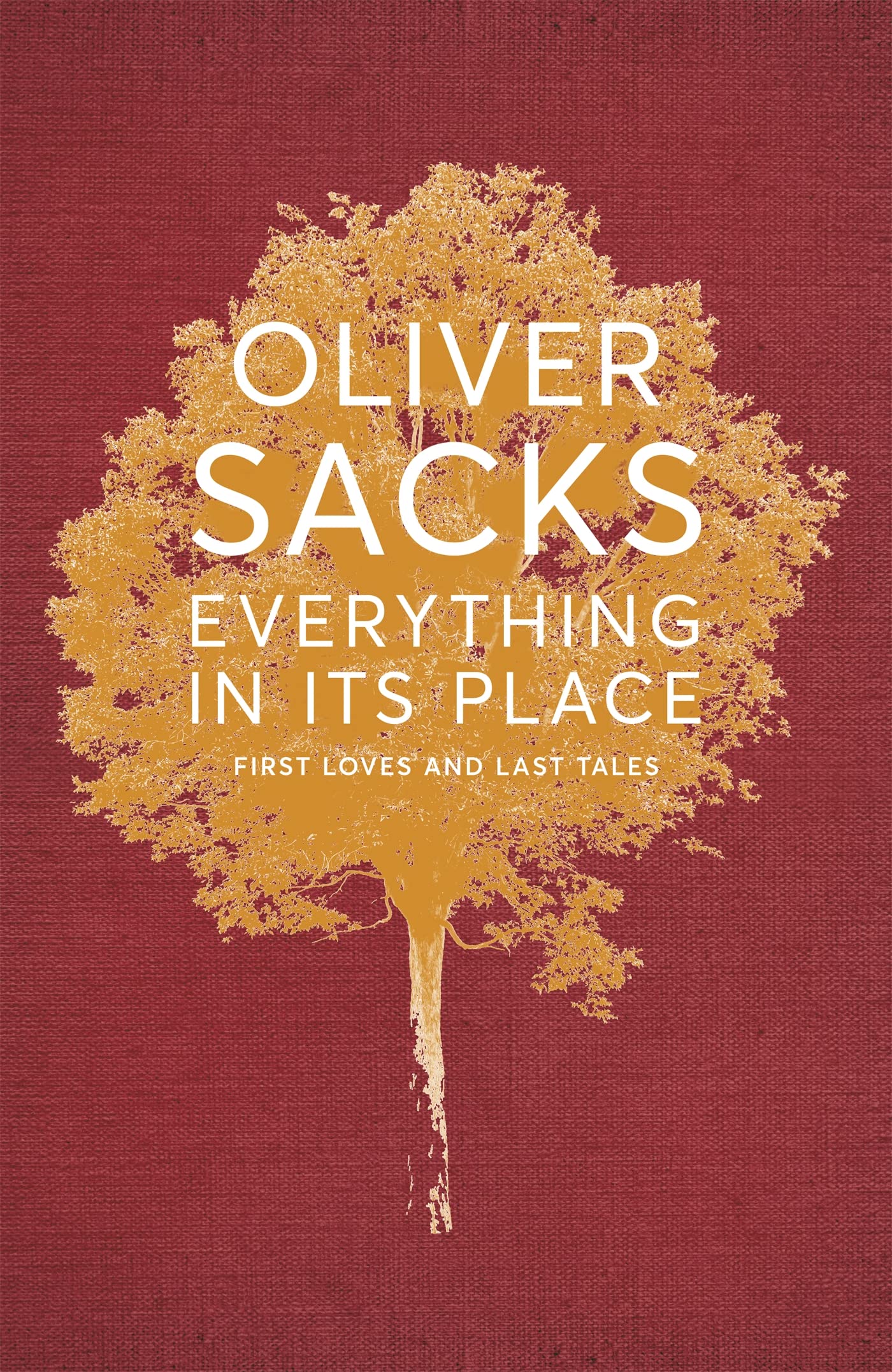 Everything in Its Place: First Loves and Last Tales Medicine