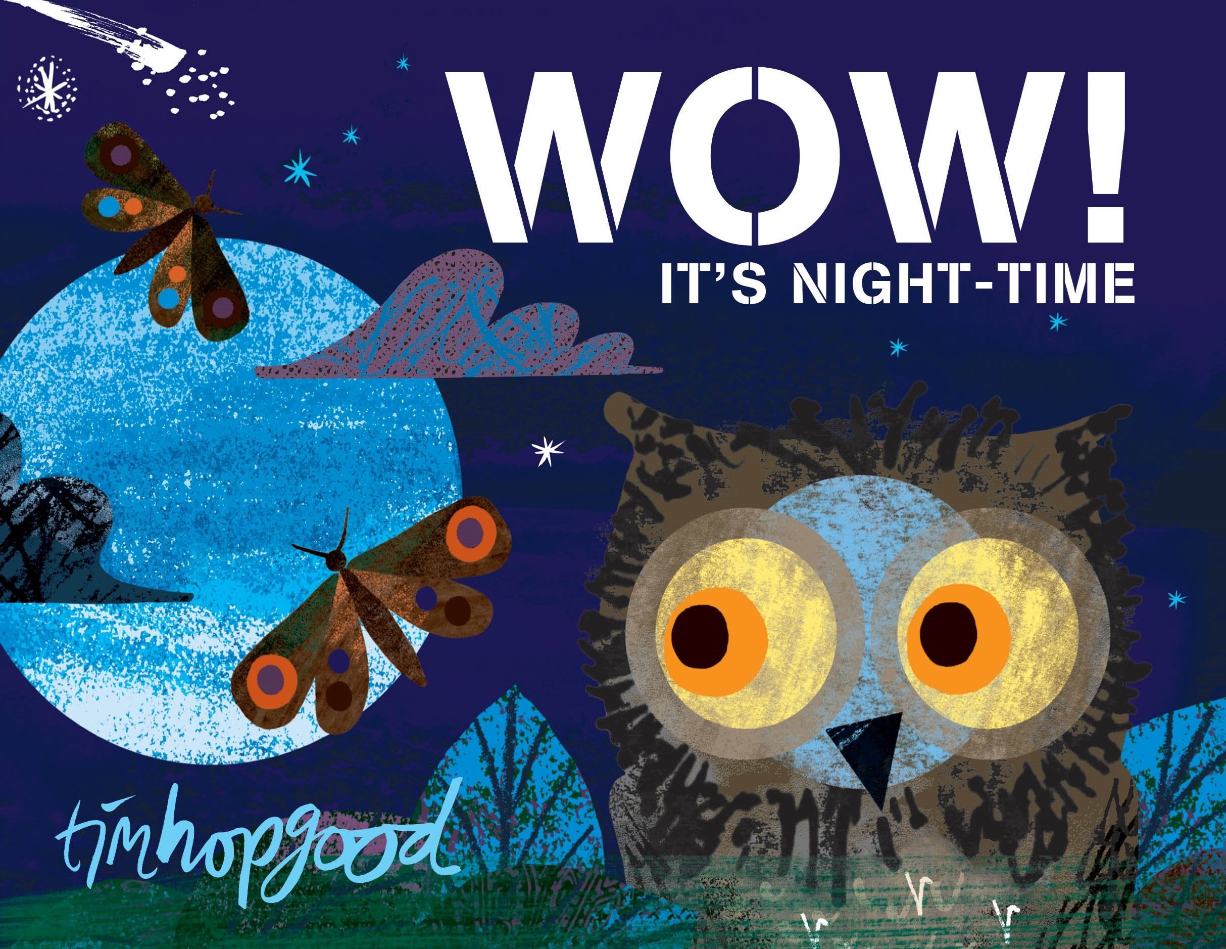 Wow! It's Night-Time Non-fiction