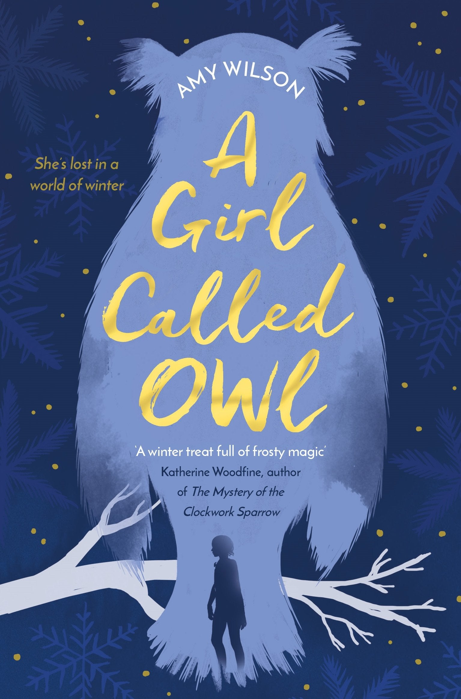 Product Image: A Girl Called Owl