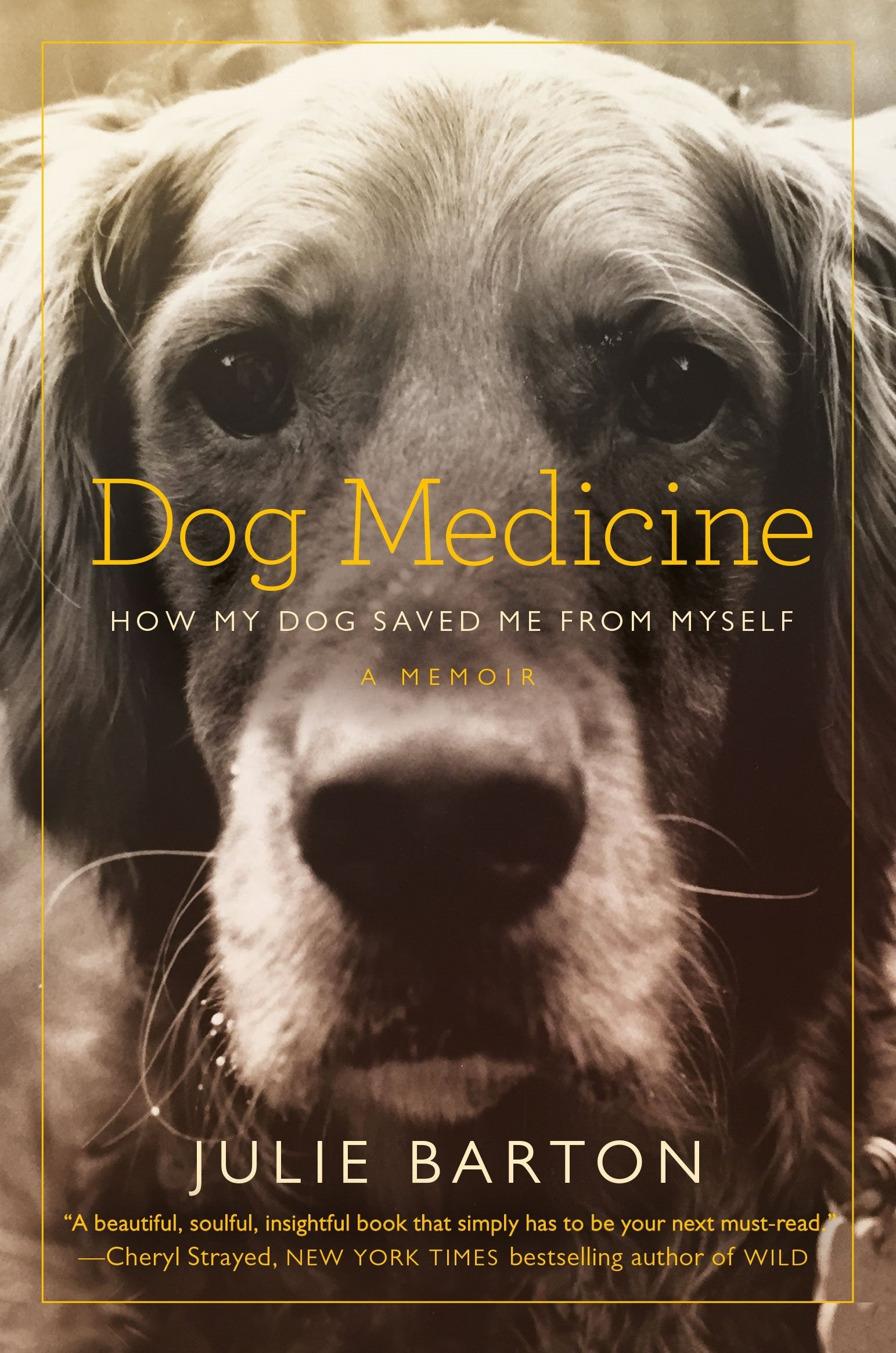 Dog Medicine: How My Dog Saved Me From Myself Medicine