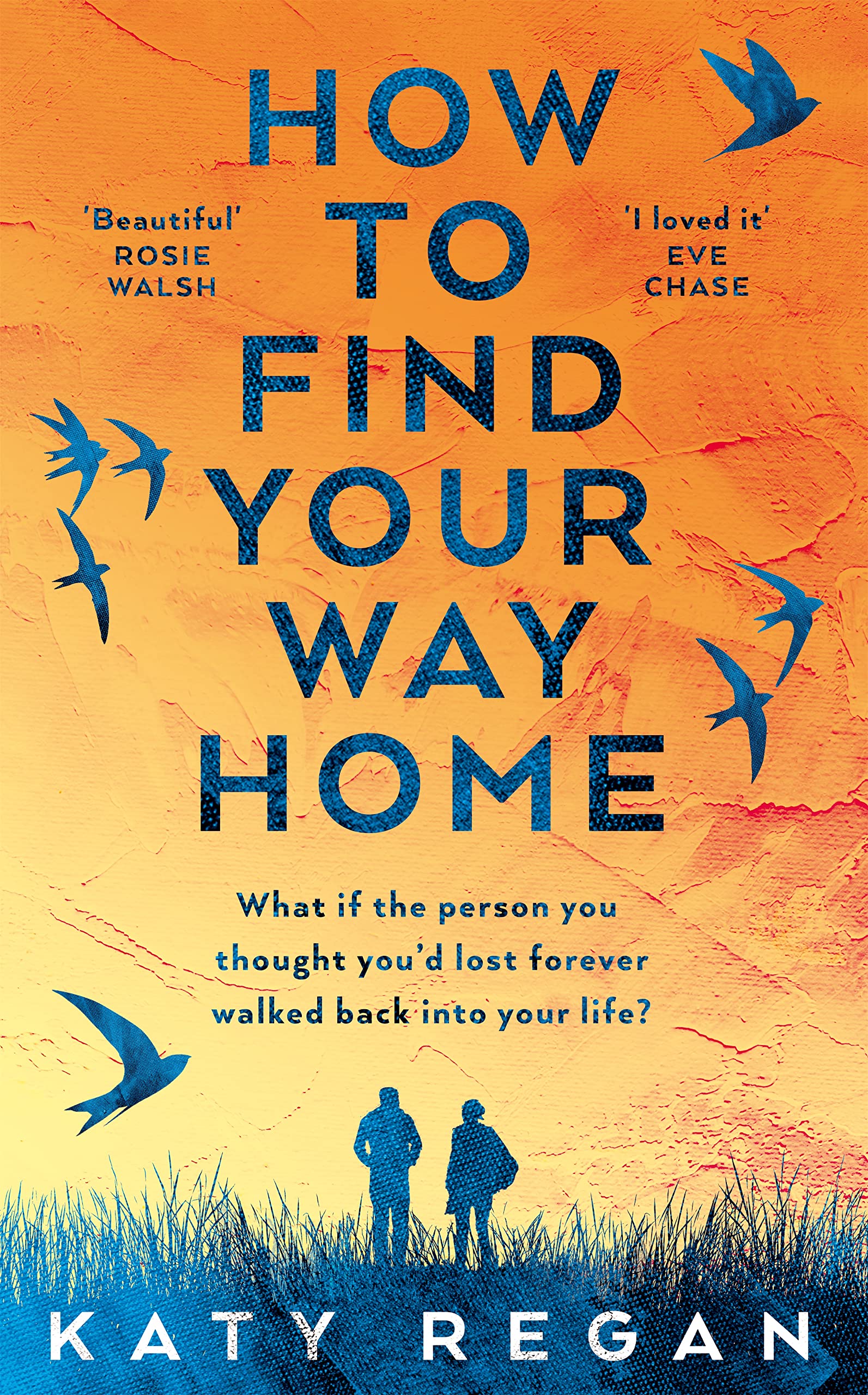 How To Find Your Way Home Contemporary literature