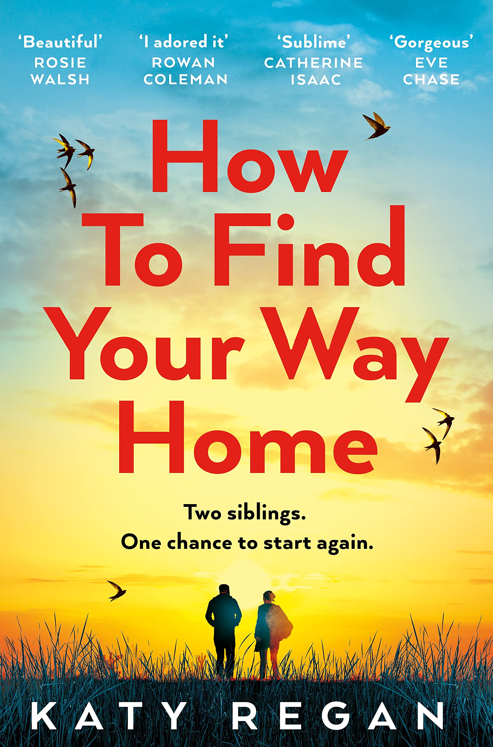 How To Find Your Way Home Contemporary literature