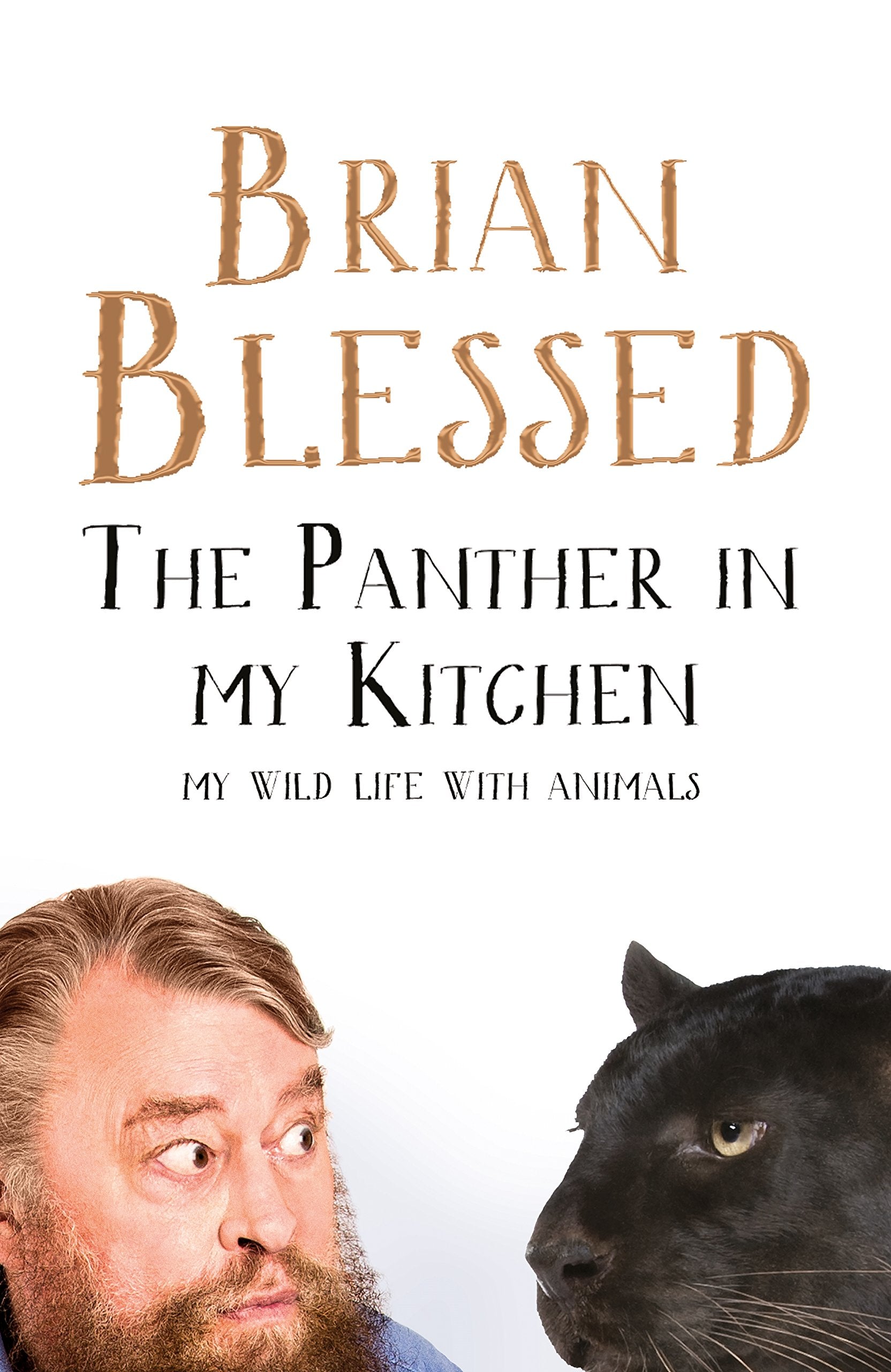 The Panther In My Kitchen: My Wild Life With Animals Art & Literature