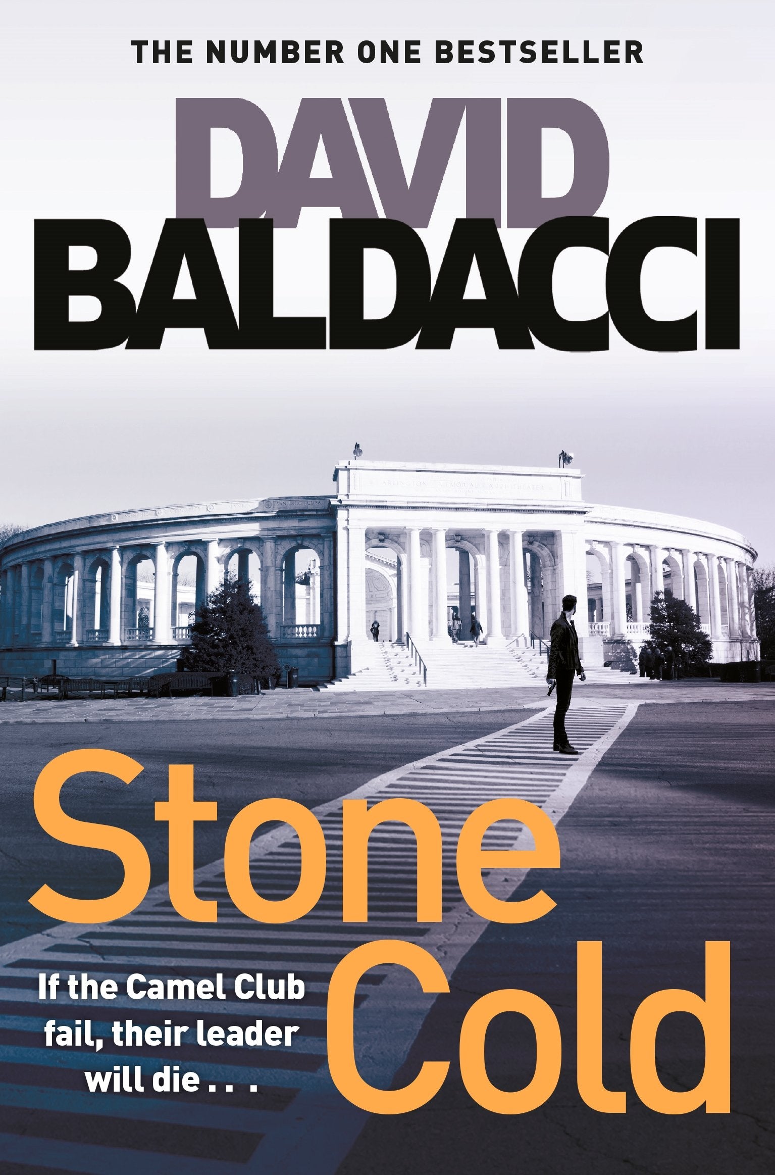 Stone Cold: If the Camel Club fail, their leader will die (The Camel Club, 3) Contemporary literature