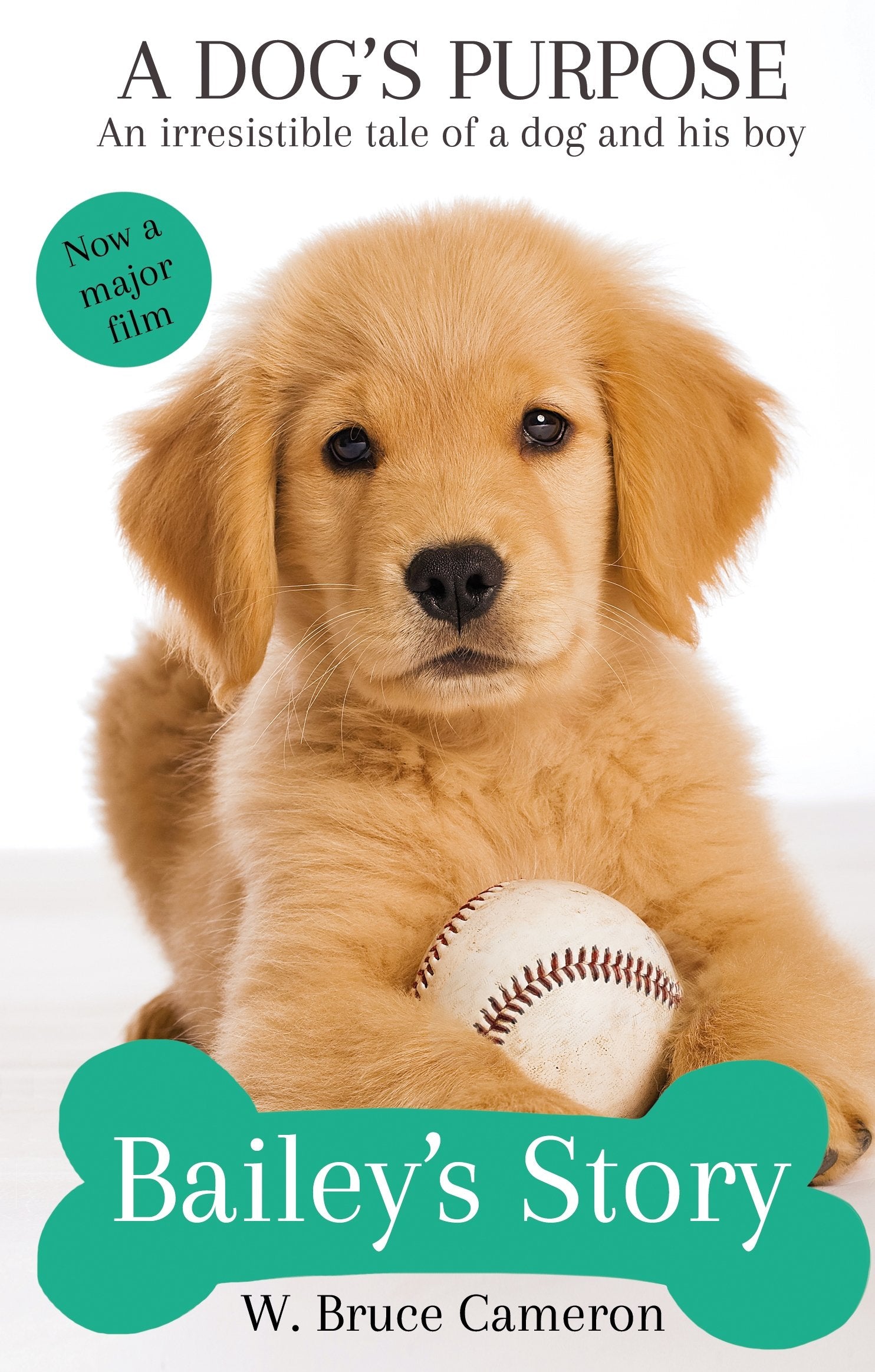Bailey's Story Non-fiction books for kids
