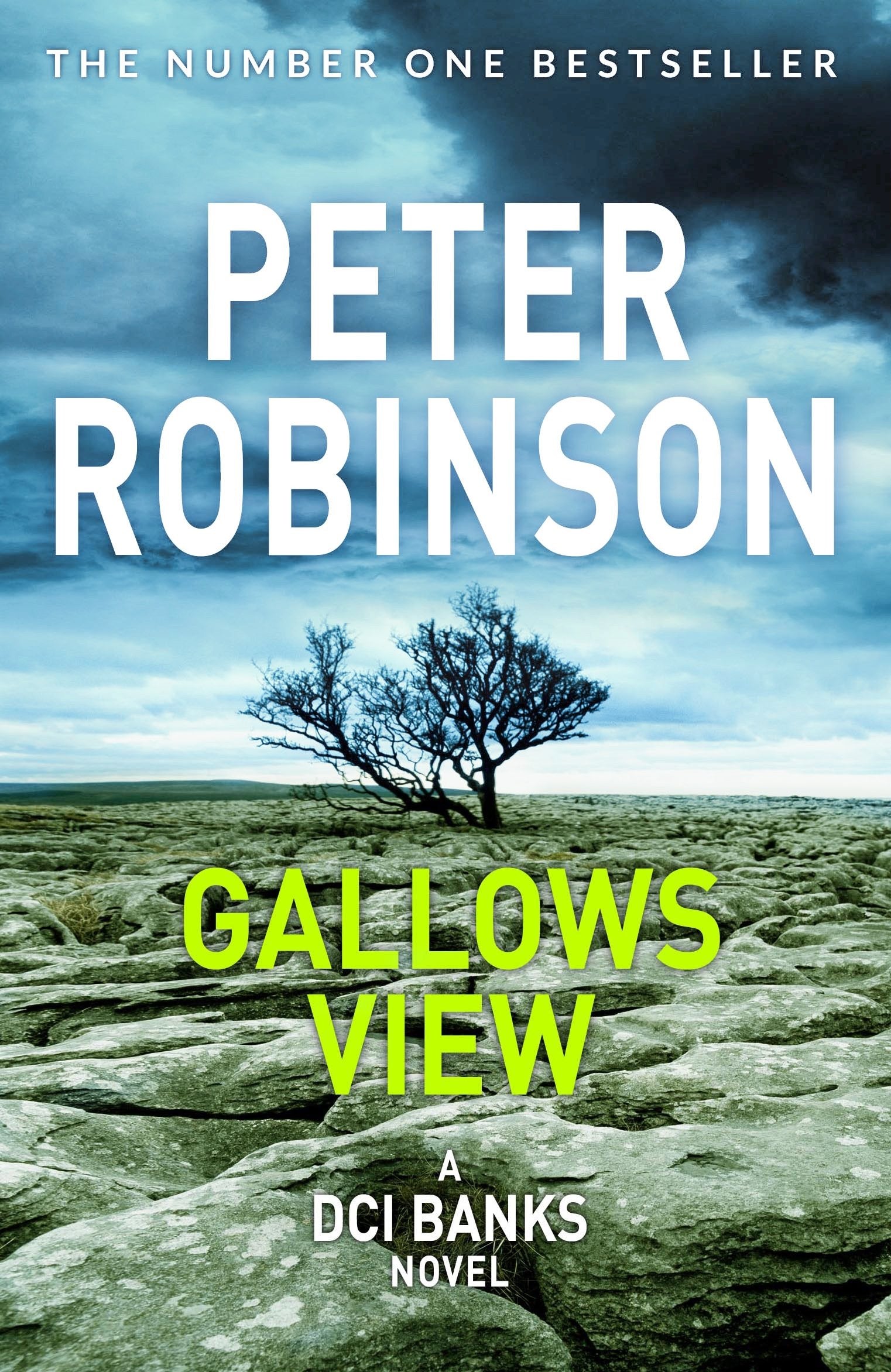 Gallows View Contemporary literature Books