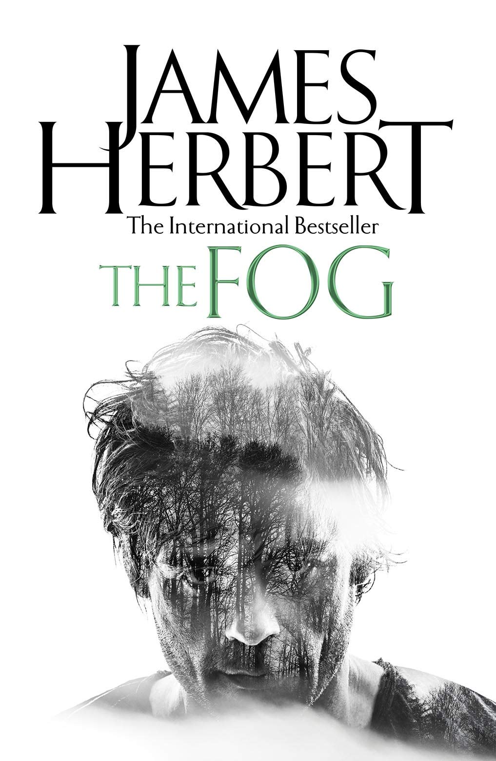 The Fog Horror & Mystery