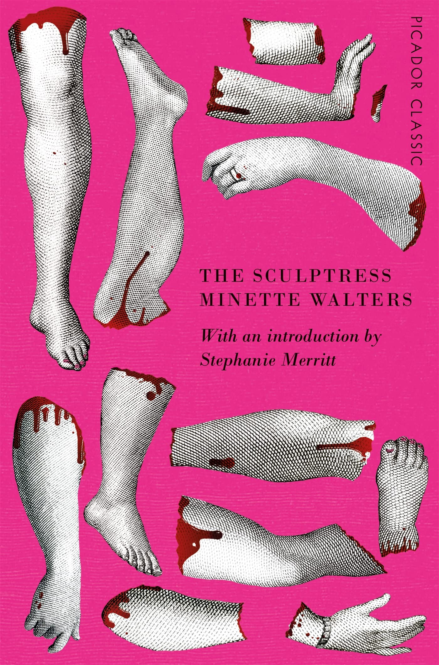 The Sculptress (Picador Classic, 71) Contemporary literature