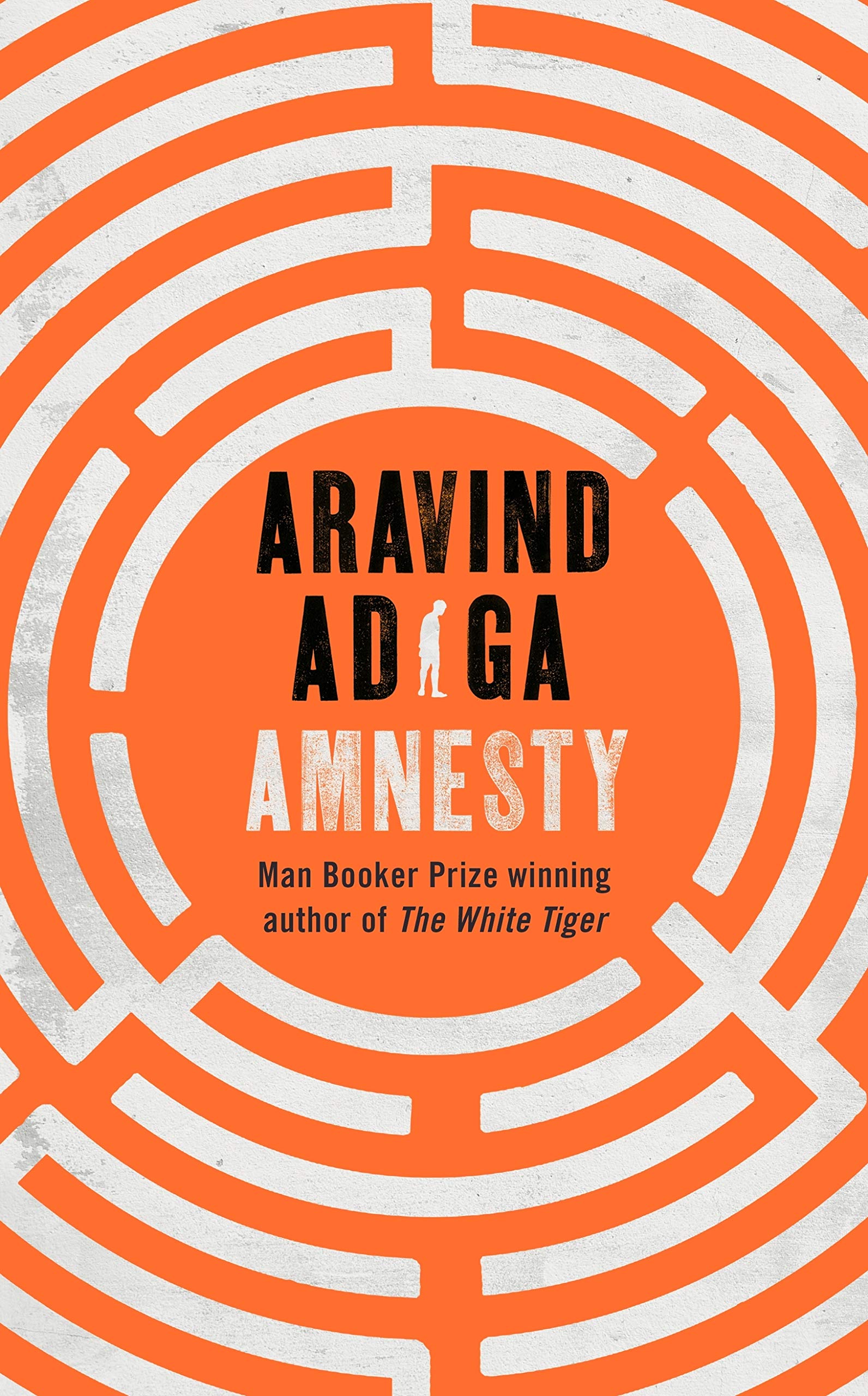 Product Image: Adiga, A: Amnesty
