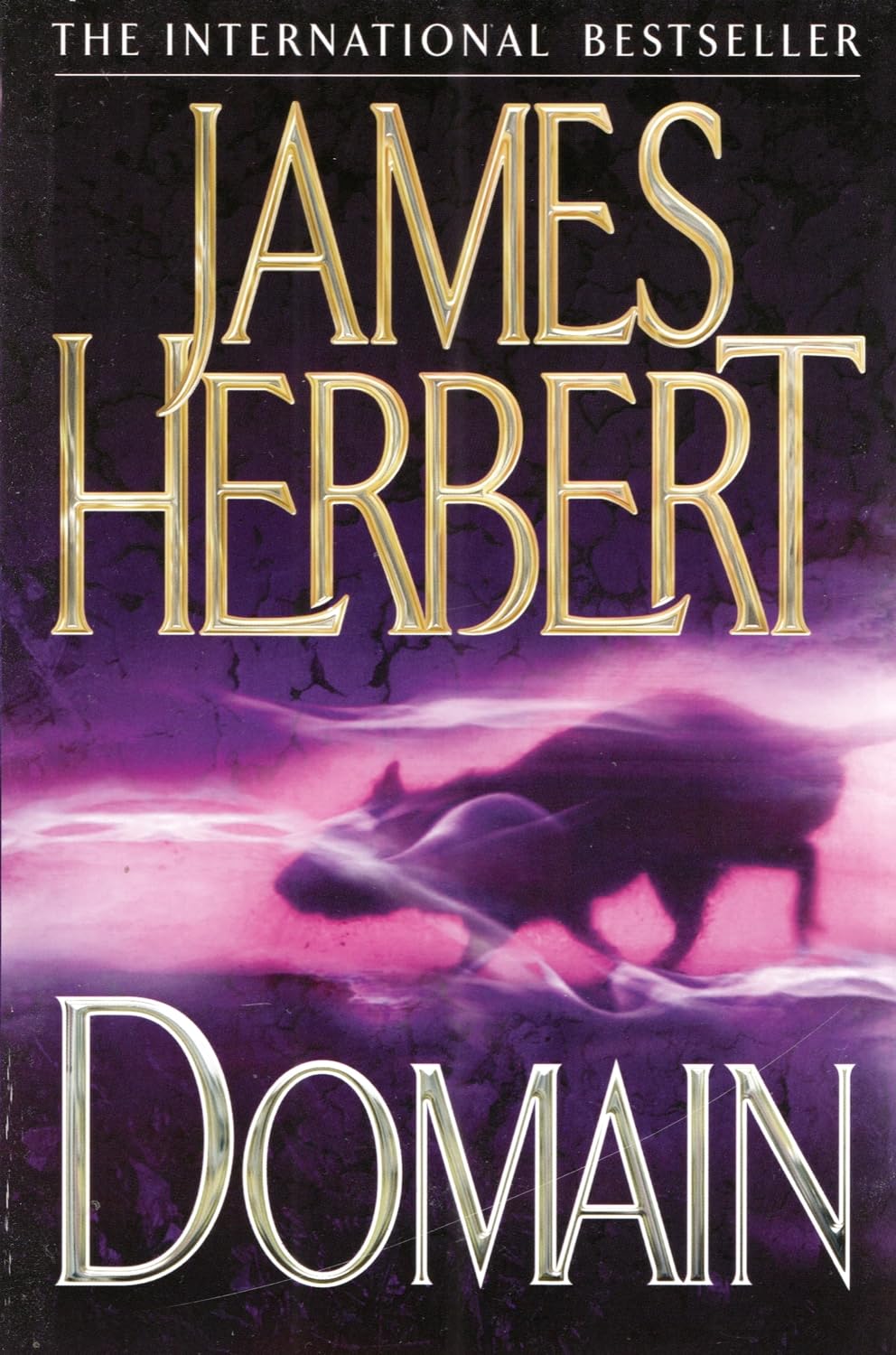 James Herbert Roman „Domain“ (evtl. nicht in deutscher Sprache) Books