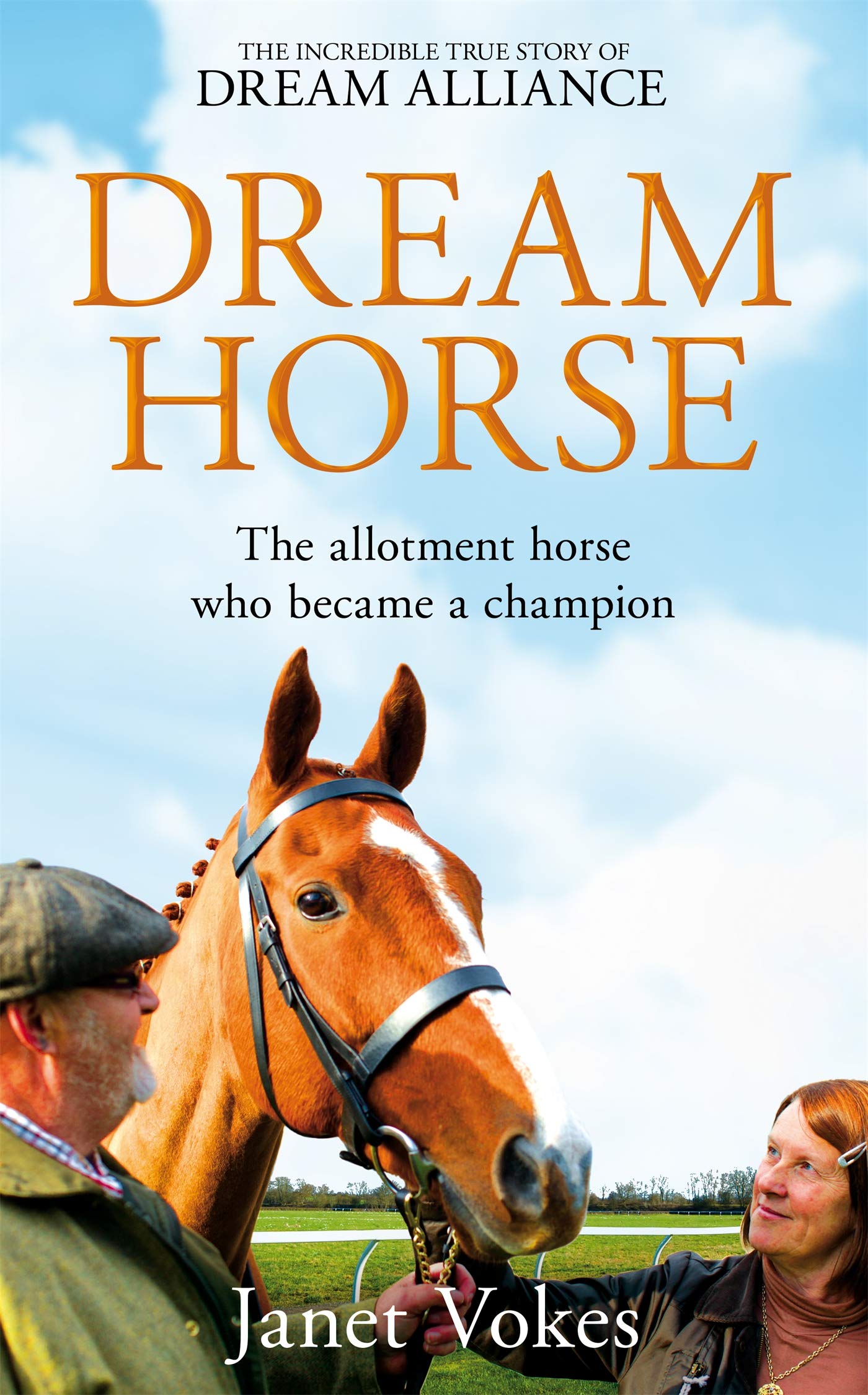 Product Image: Dream Horse