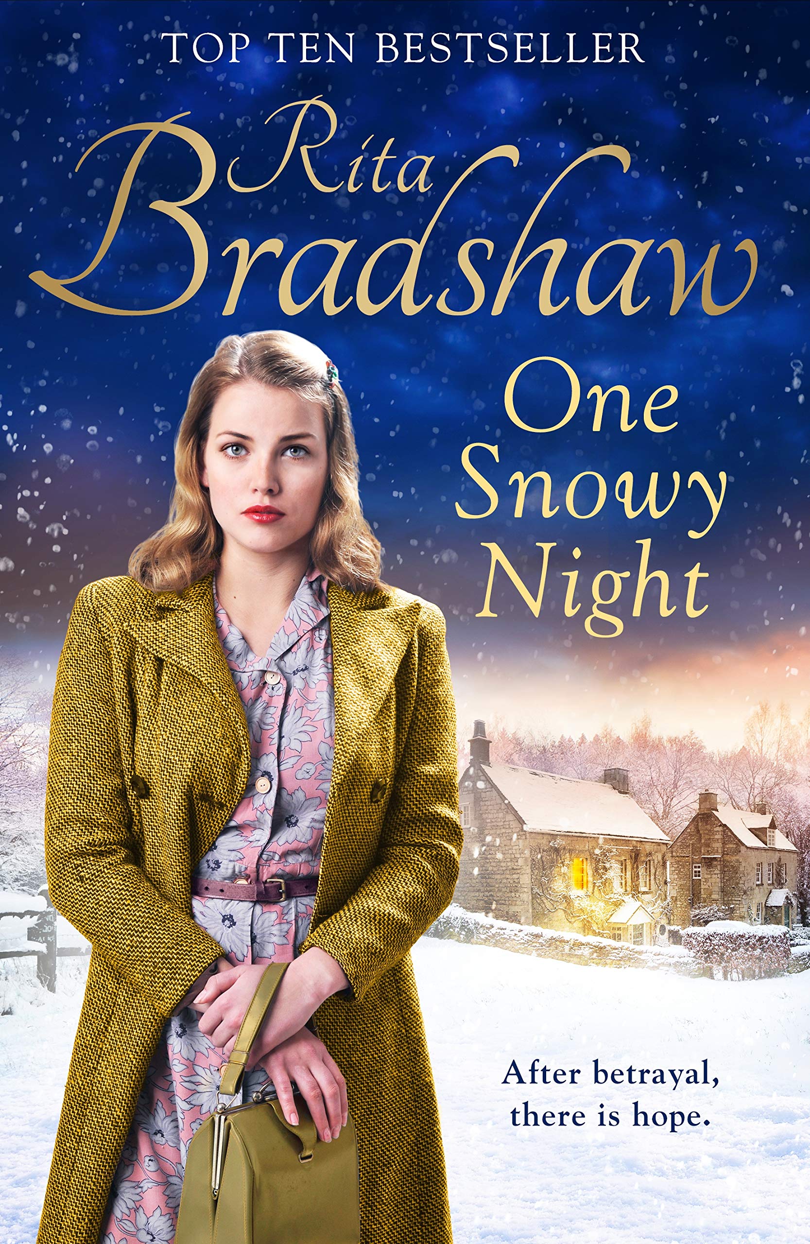 One Snowy Night Historical Fiction