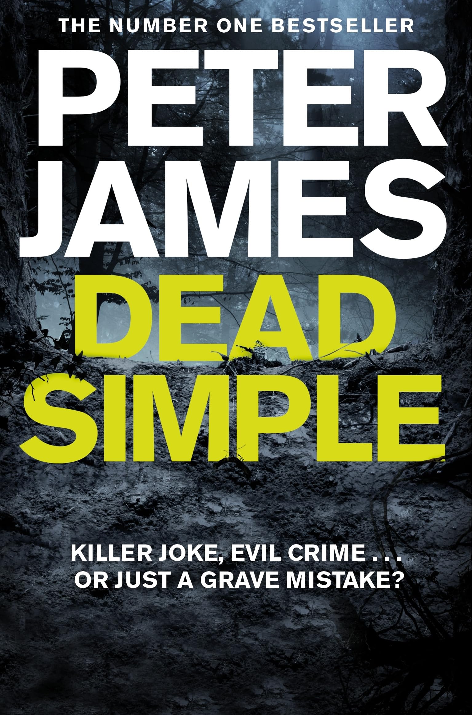 Dead Simple Contemporary literature Books