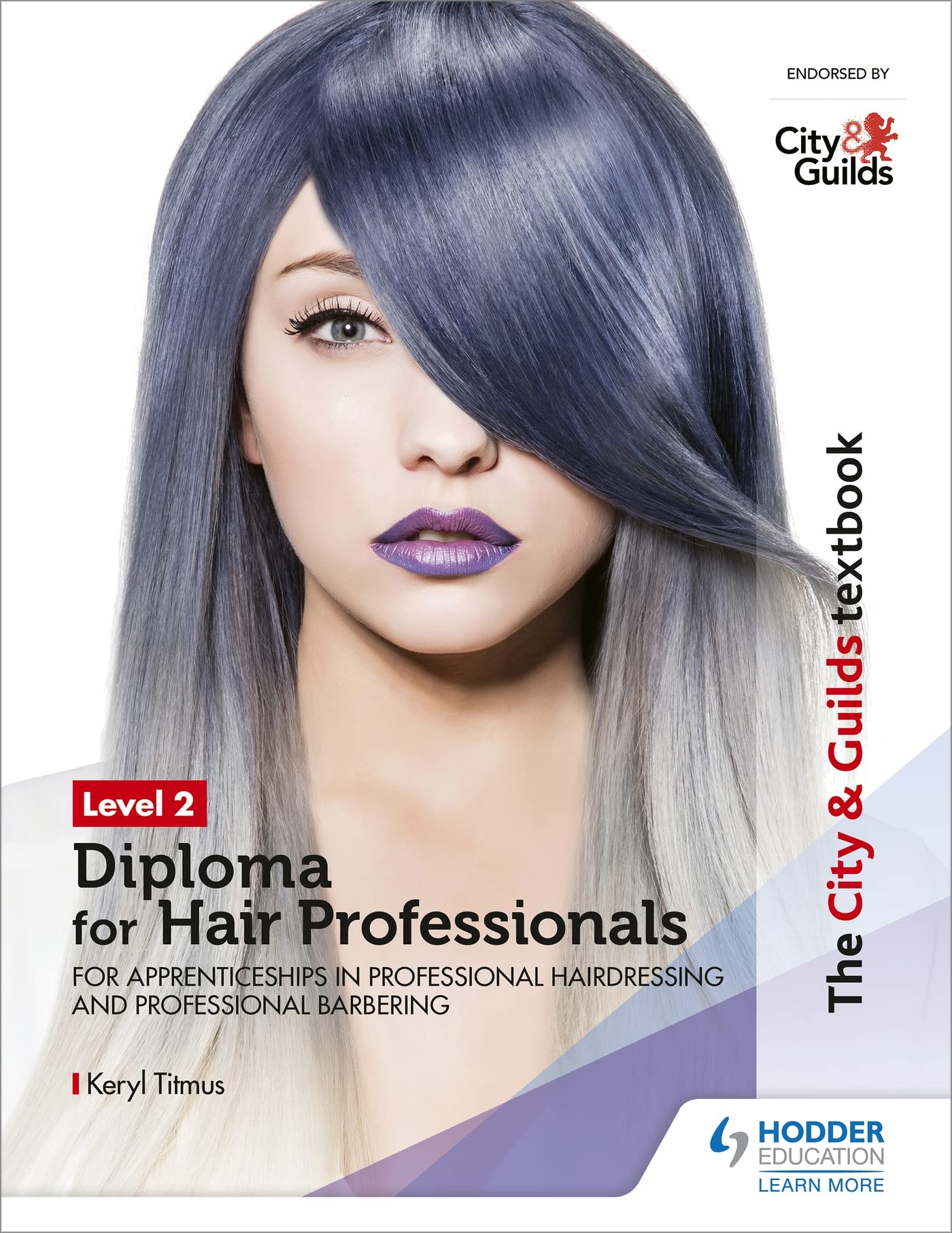 The City & Guilds Textbook Level 2 Diploma for Hair Professionals for Apprenticeships in Professional Hairdressing and Professional Barbering book