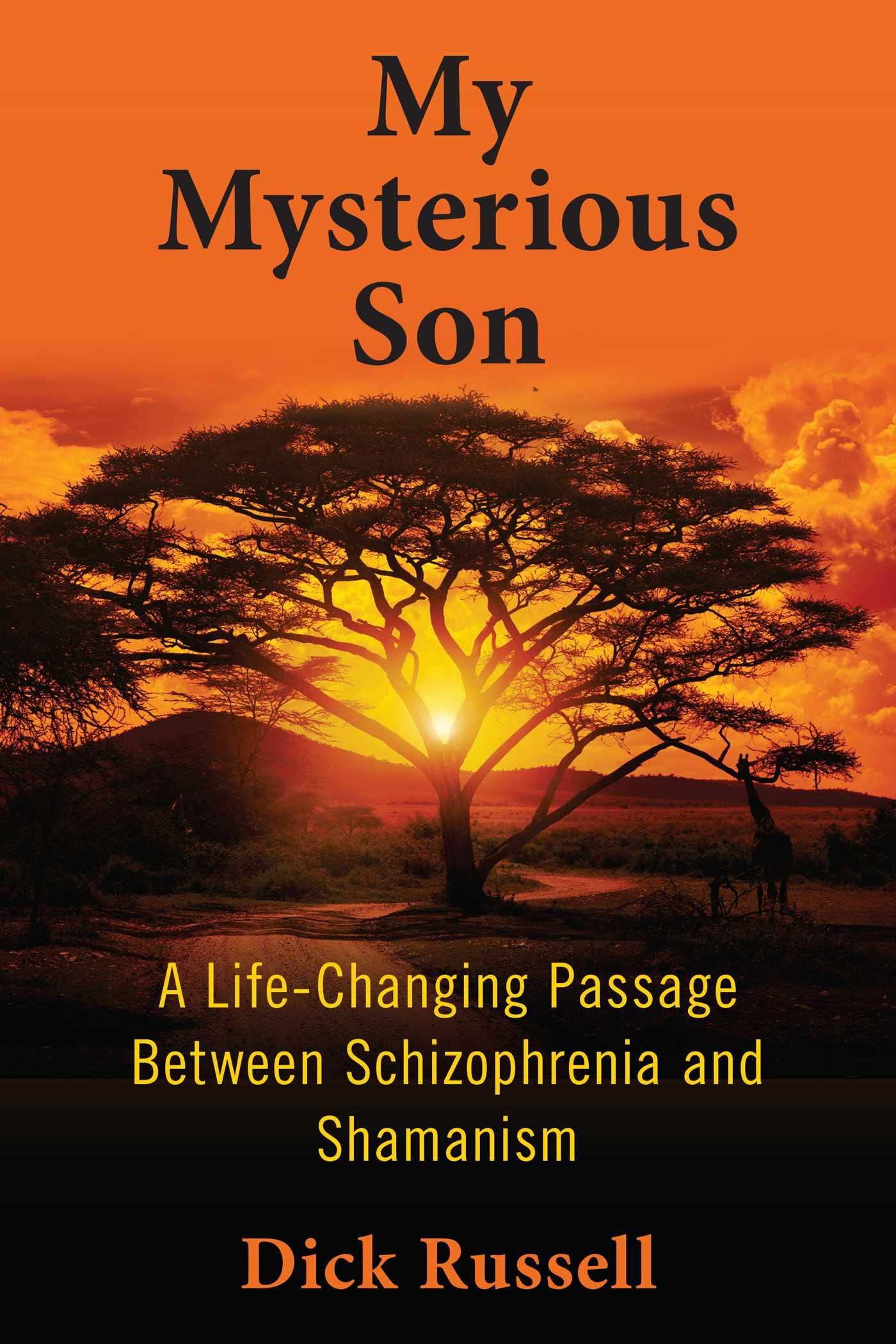 My Mysterious Son: A Life-Changing Passage between Schizophrenia and Shamanism book