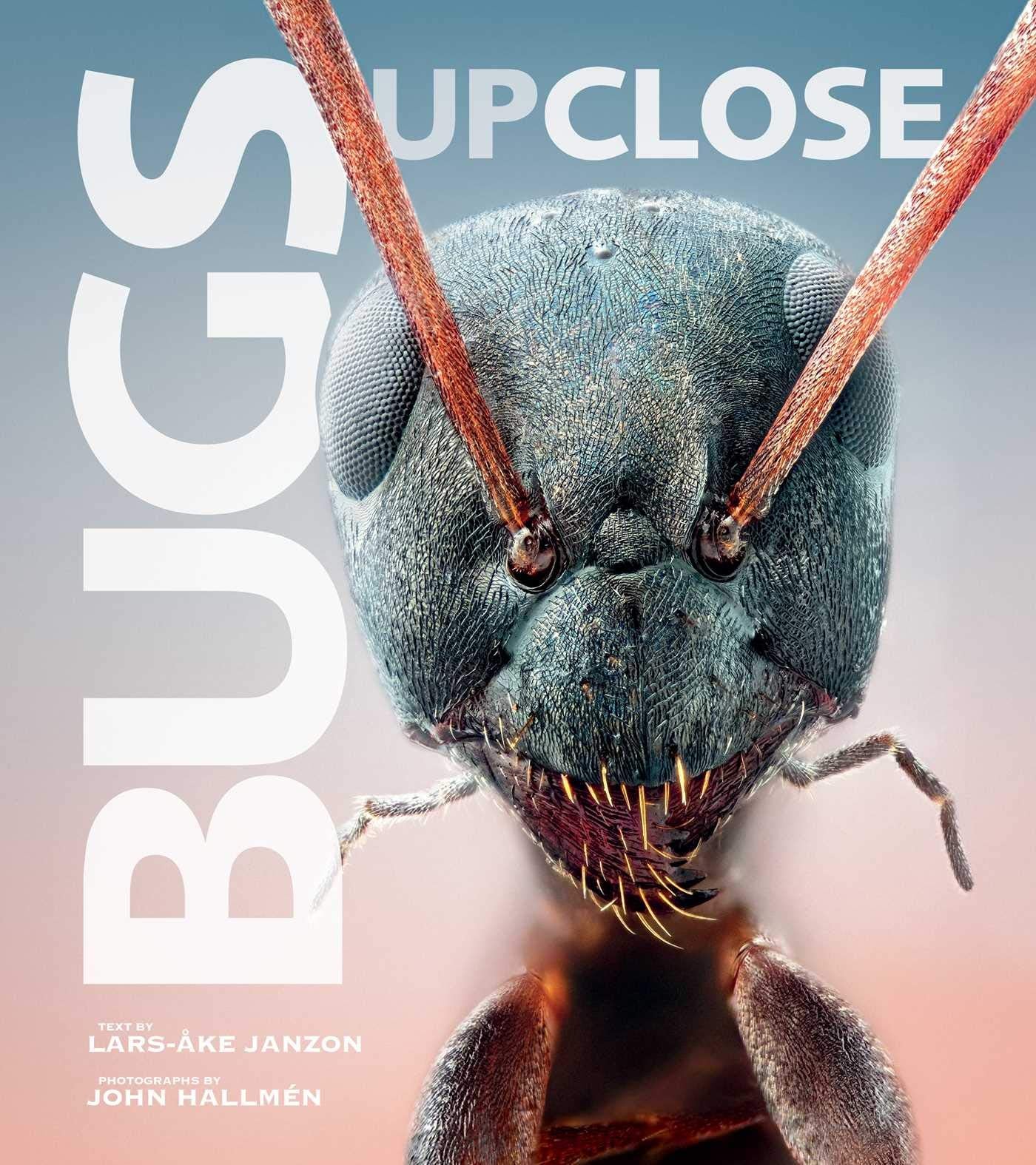 Bugs Up Close: A Magnified Look at the Incredible World of Insects Mathematics