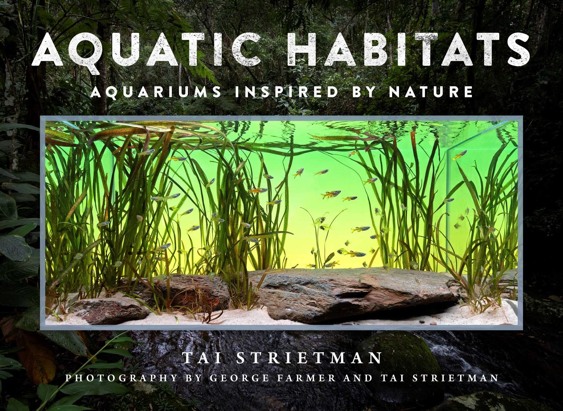Aquatic Habitats: Aquariums Inspired by Nature Mathematics