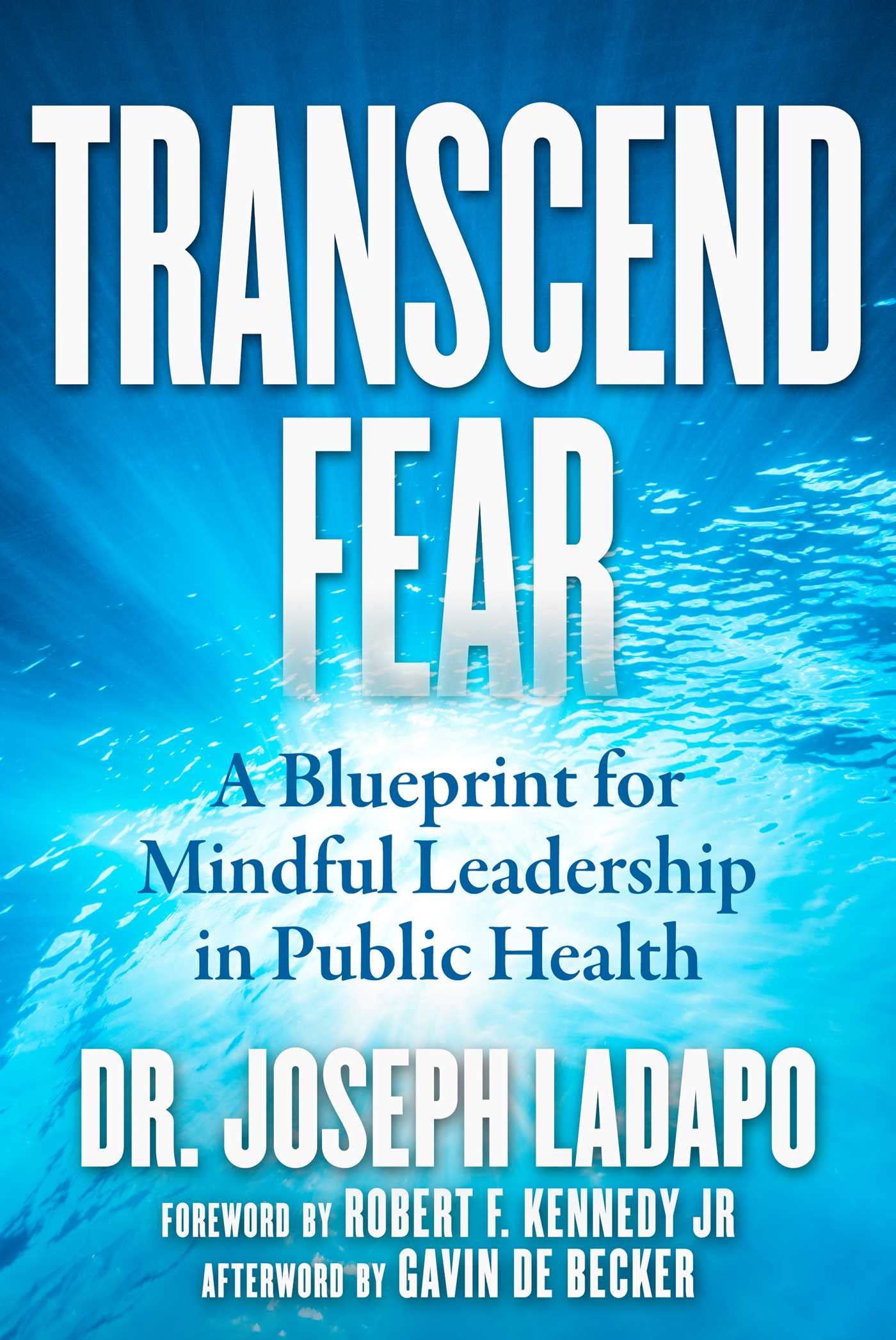 Transcend Fear: A Blueprint for Mindful Leadership in Public Health Medicine