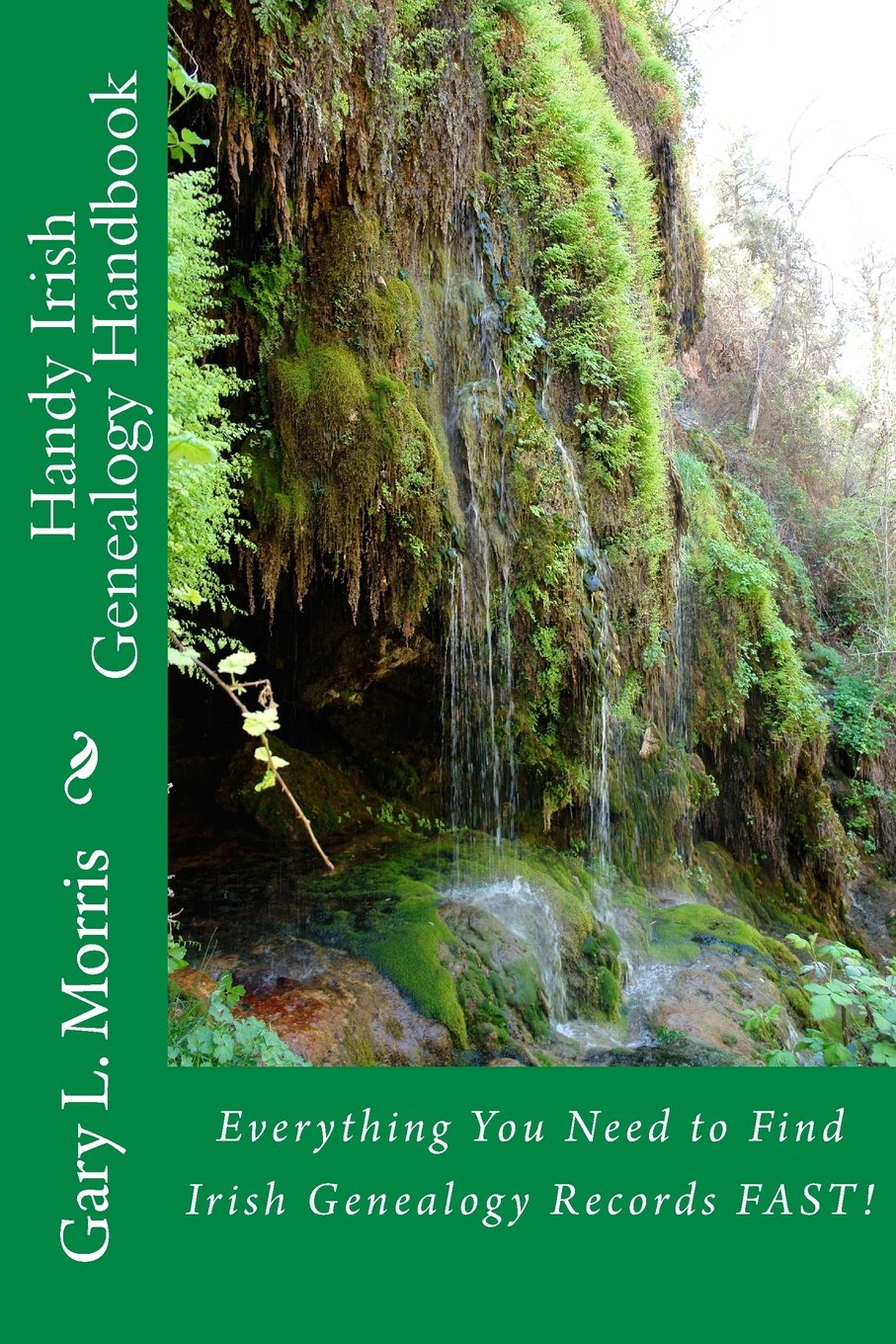 Handy Irish Genealogy Handbook: Everything You Need to Find Irish Genealogy Records FAST! Reference Books