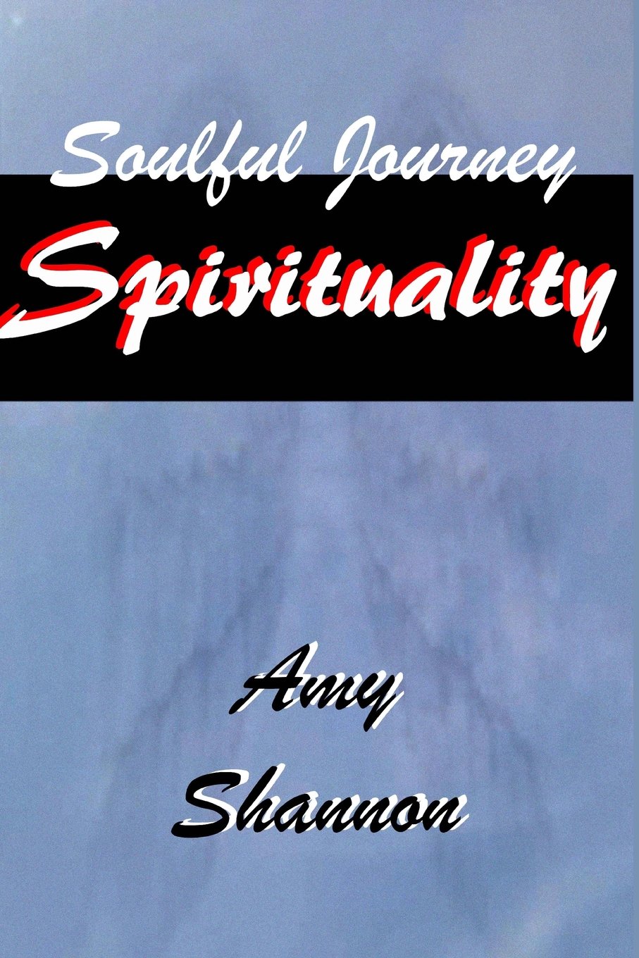 Soulful Journey: Spirituality (Sars Springs Saga Soulful Journey Series 6, Band 2) Contemporary literature