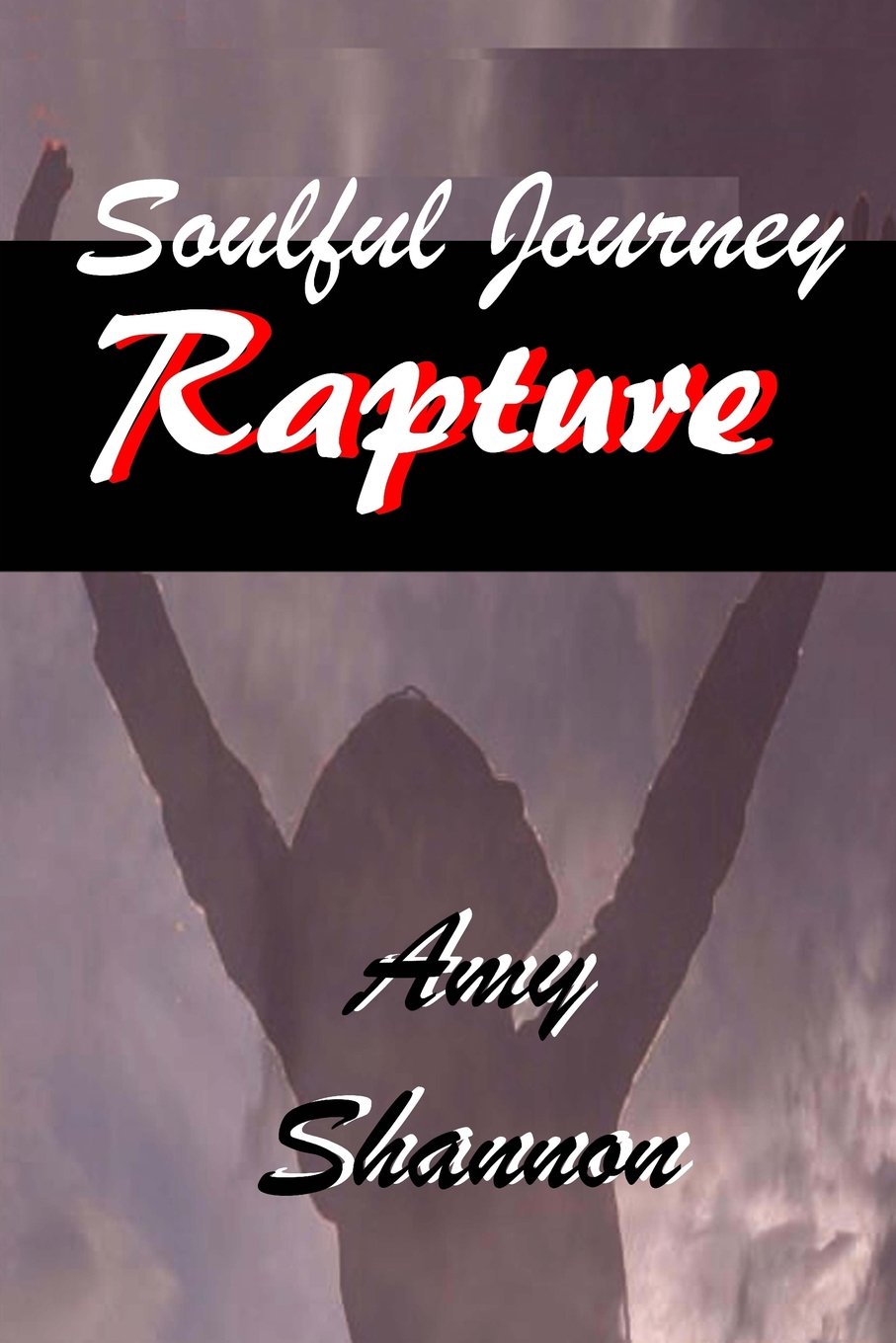 Soulful Journey: Rapture (Sars Springs Saga Soulful Journey Series 6, Band 5) Contemporary literature