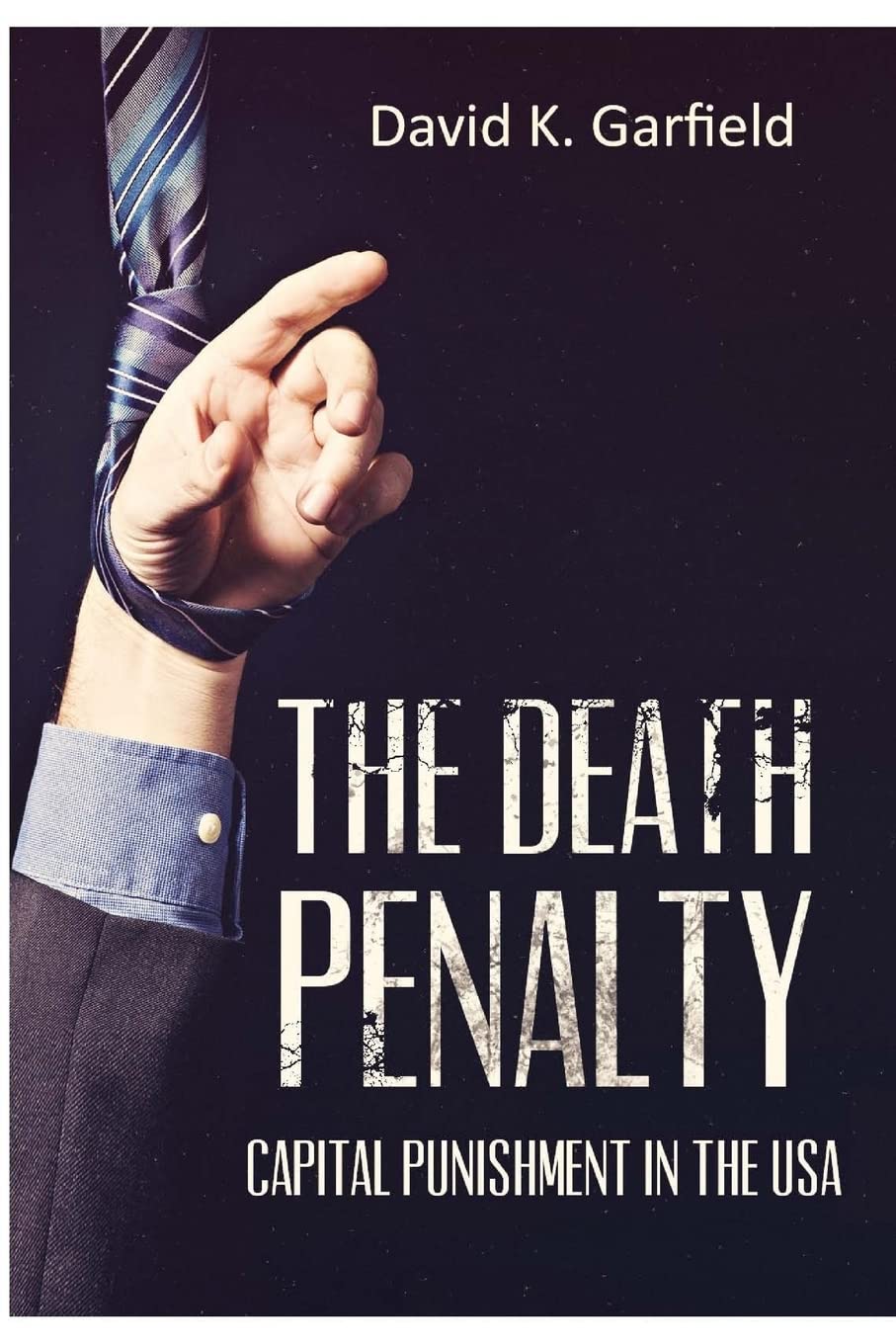The Death Penalty: Capital Punishment in the USA Books