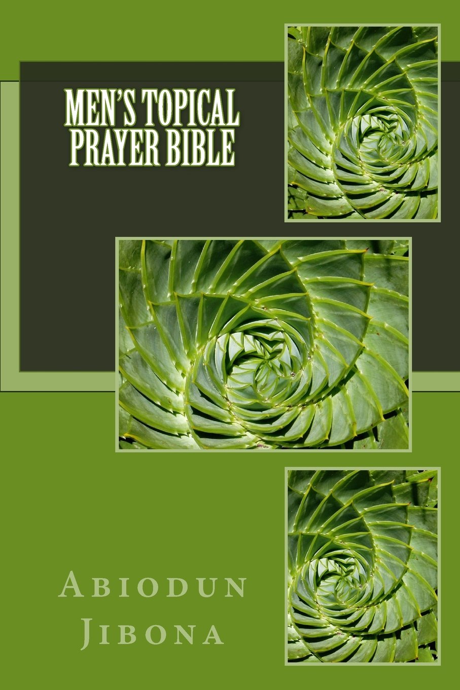 Men's Topical Prayer Bible Social Sciences