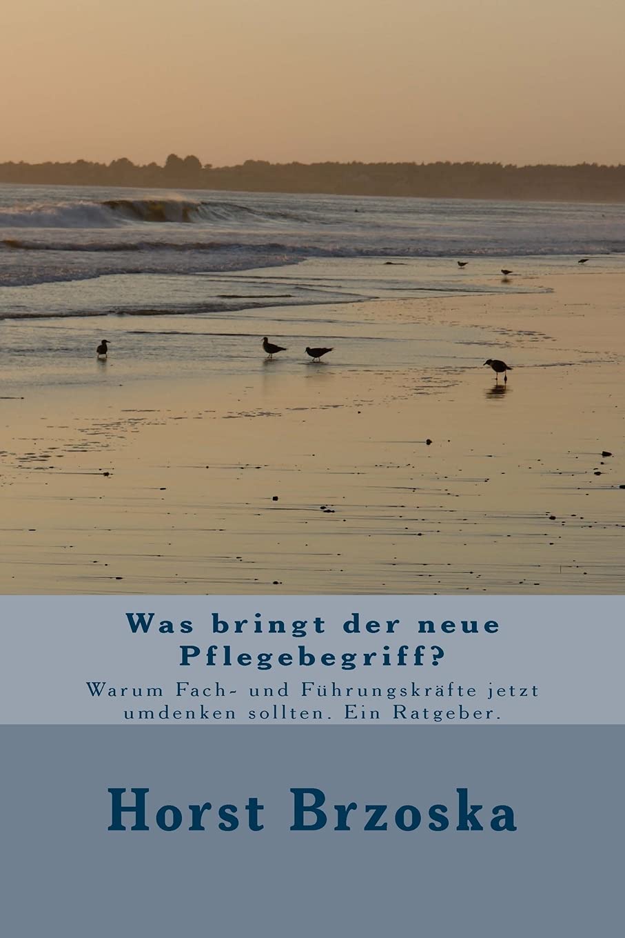 Was bringt der neue Pflegebegriff?: Warum Fach- und Fuehrungskraefte jetzt umdenken sollten. Ein Ratgeber. (Altenpflege aktuell, Band 1) Business, Finance & Career